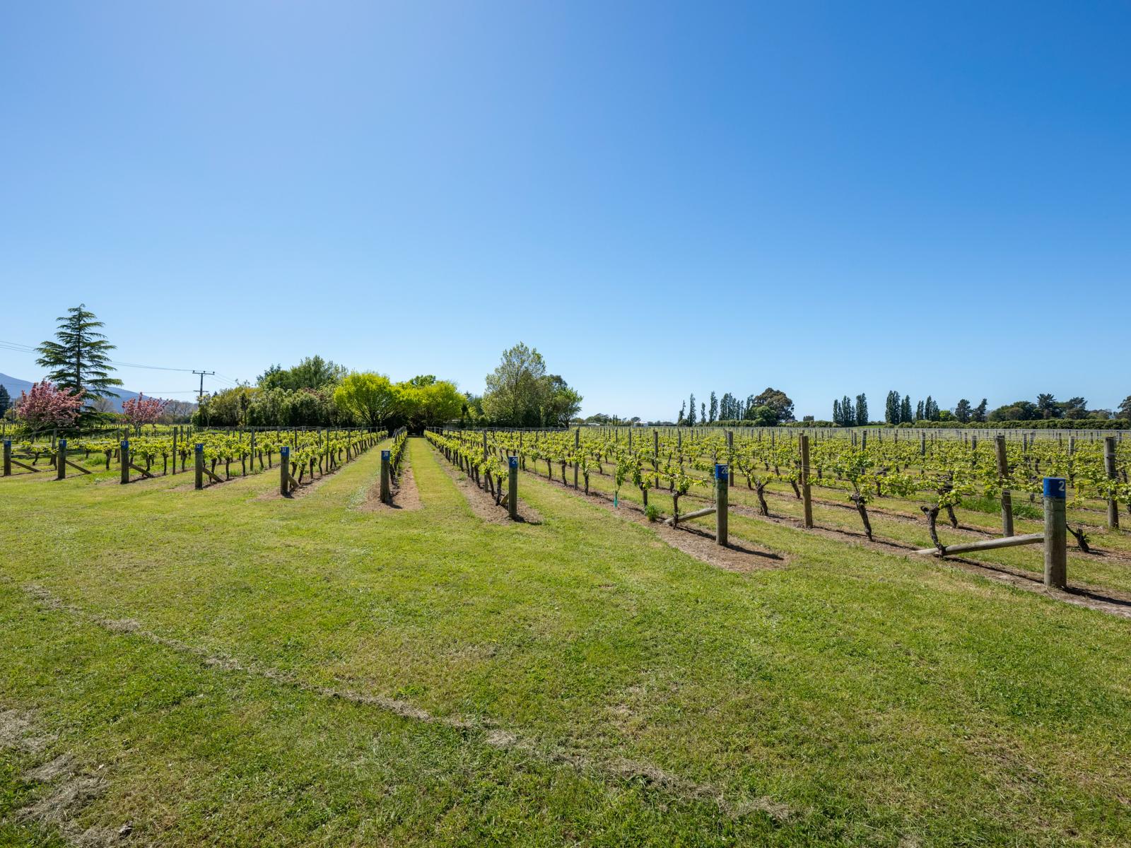 132 Murrays Road, Spring Creek
