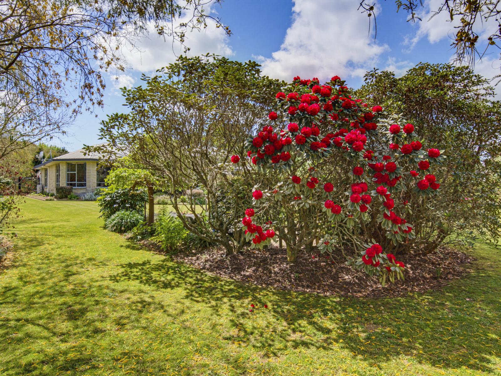 34 Gordon Place, Levin