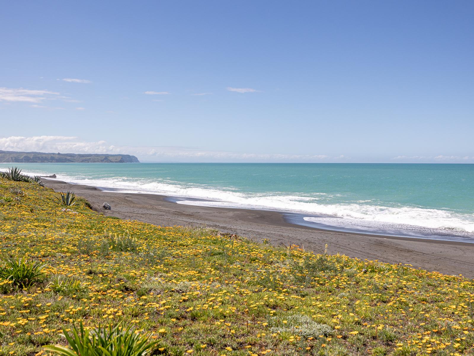 170 Whirinaki Road, Bay View