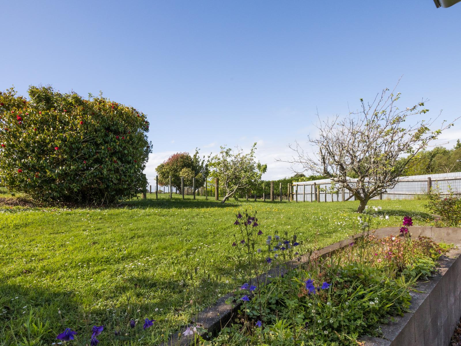 25 Homelands Avenue, Feilding