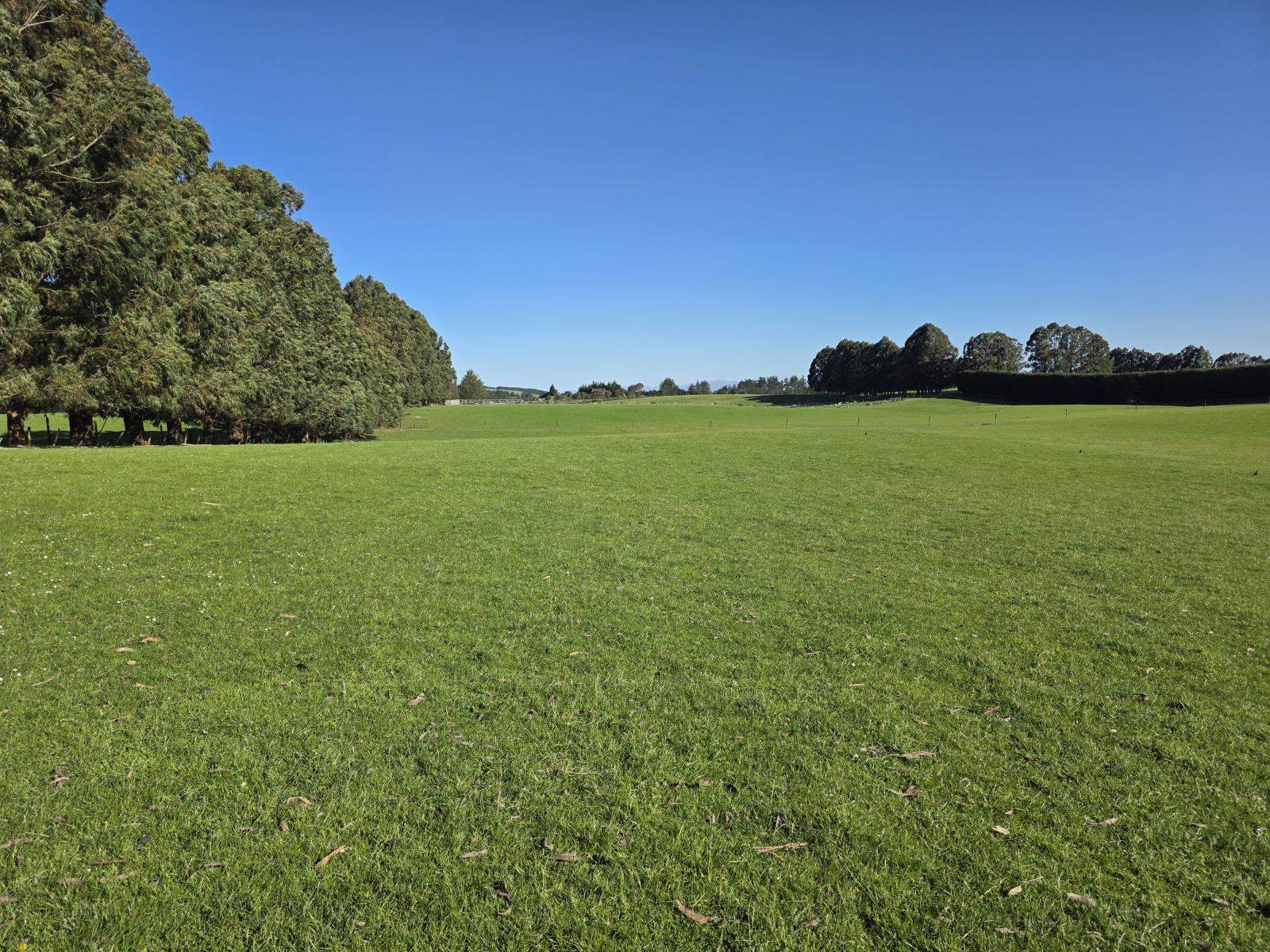 351 Loburn Kowai Road, Loburn