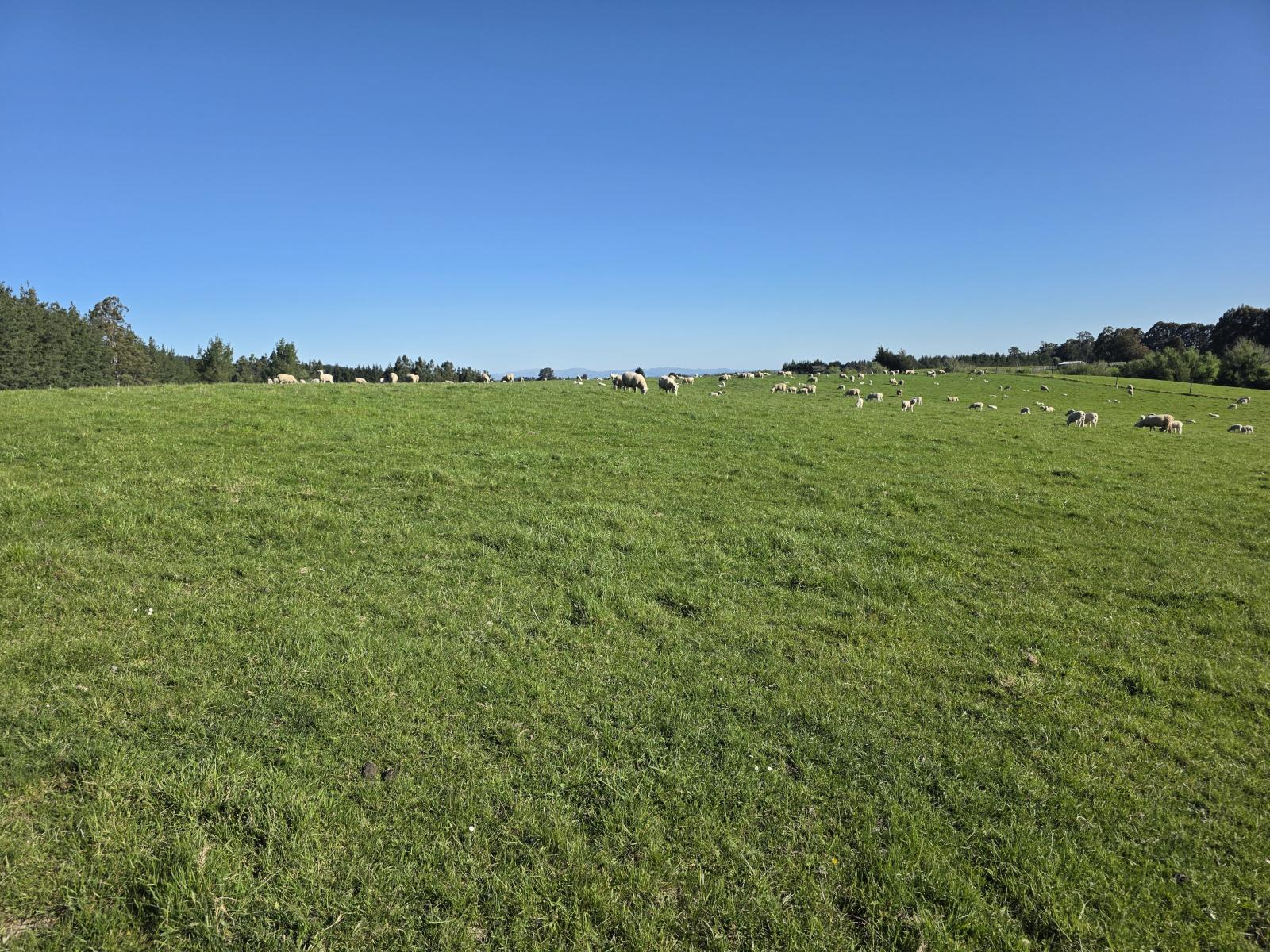 351 Loburn Kowai Road, Loburn