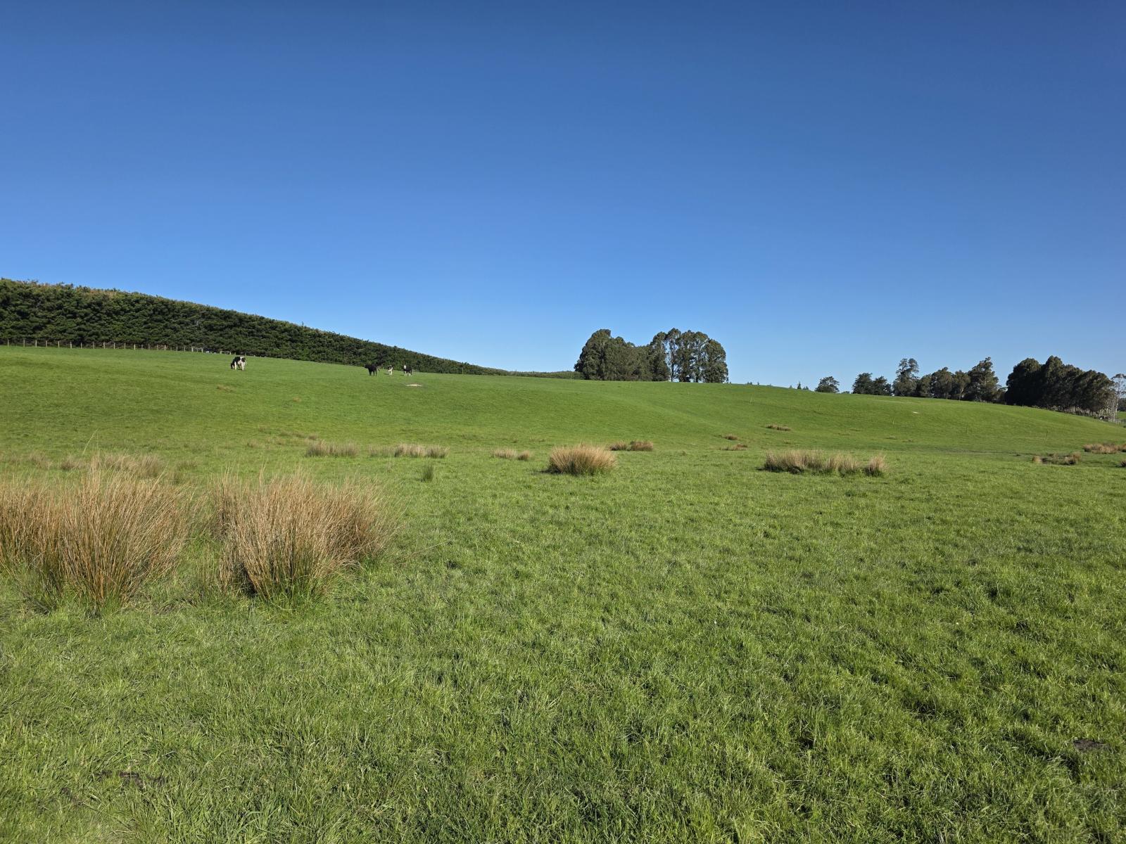 351 Loburn Kowai Road, Loburn