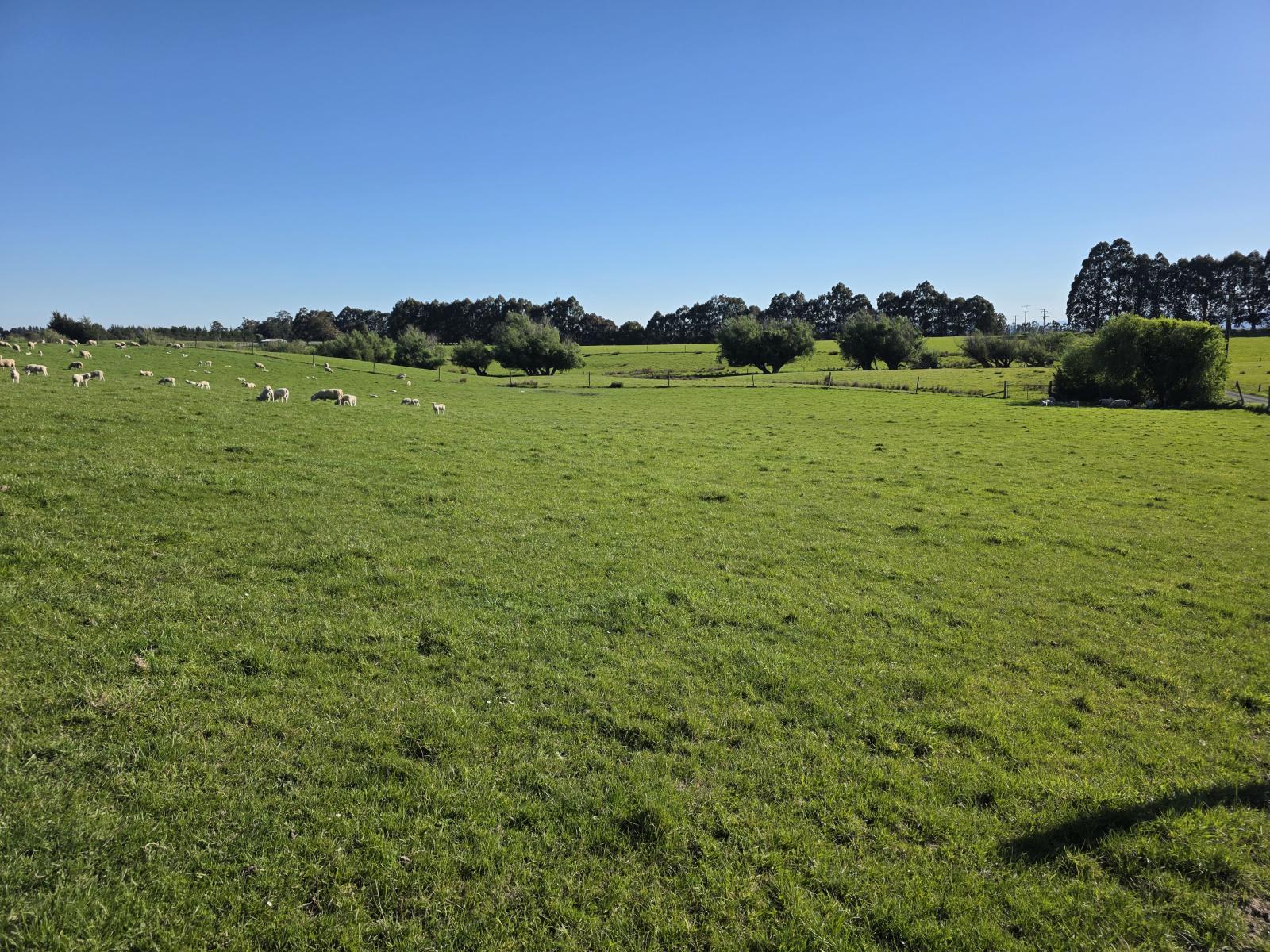 351 Loburn Kowai Road, Loburn