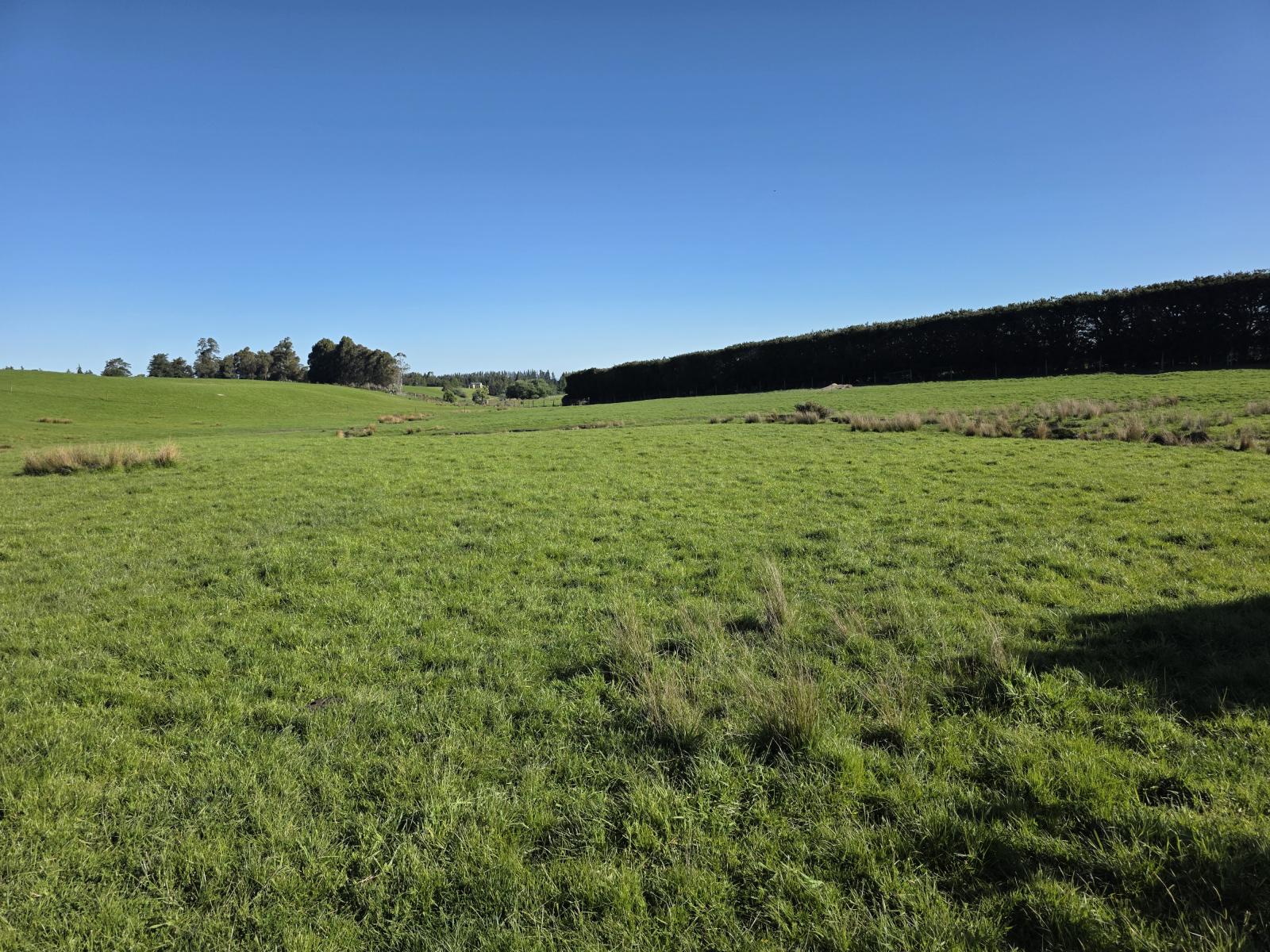 351 Loburn Kowai Road, Loburn