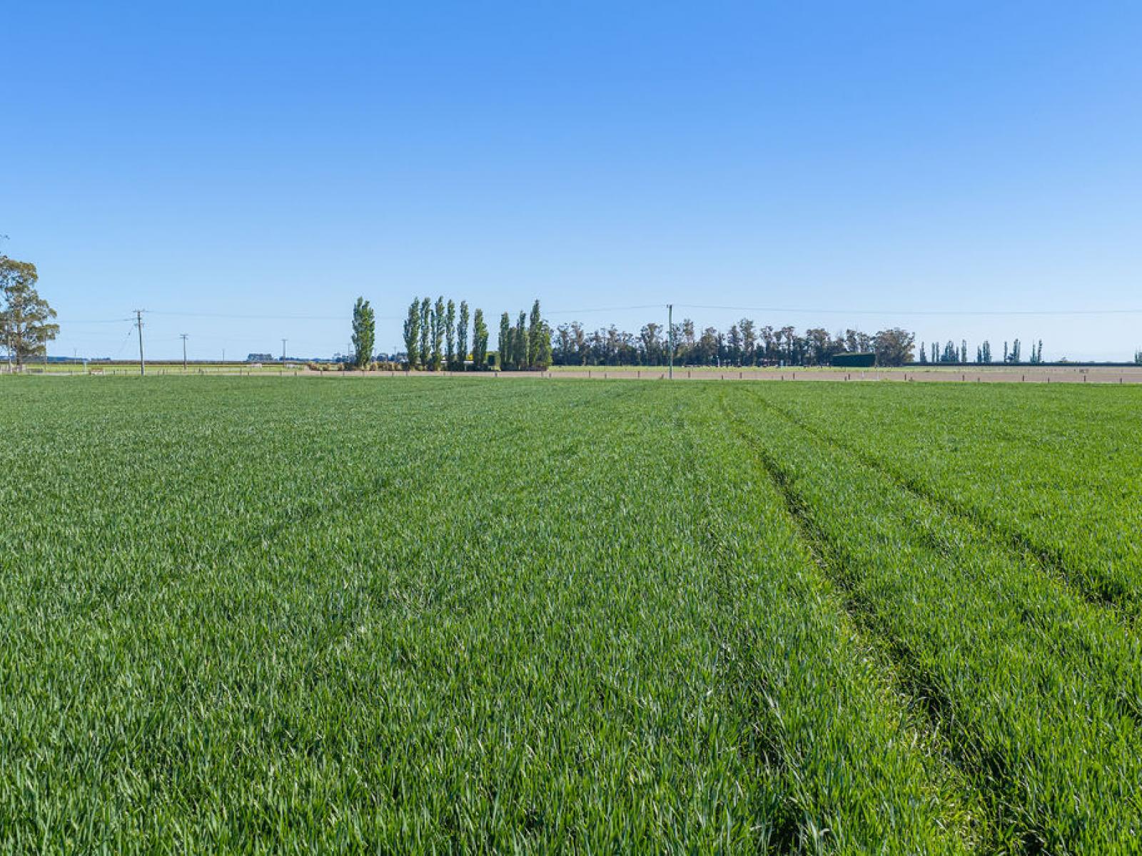 32 Ashton Road, Ashburton