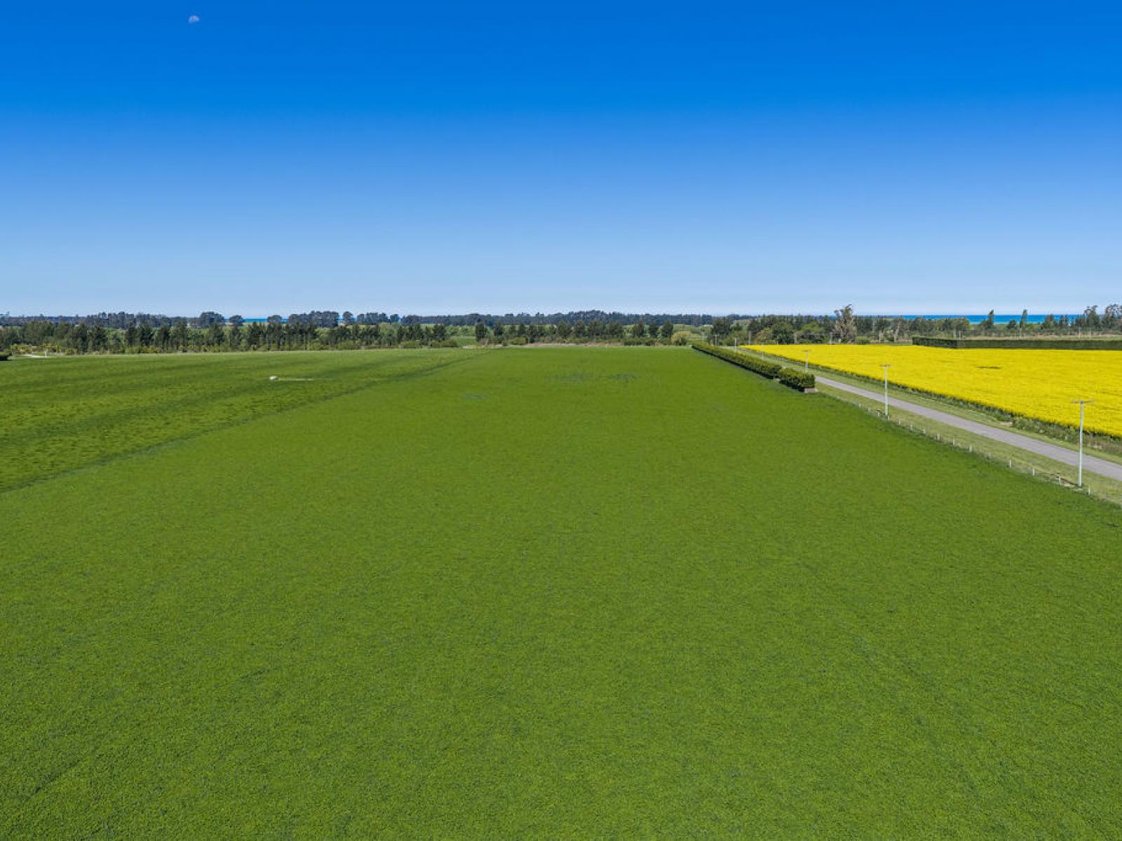 32 Ashton Road, Ashburton