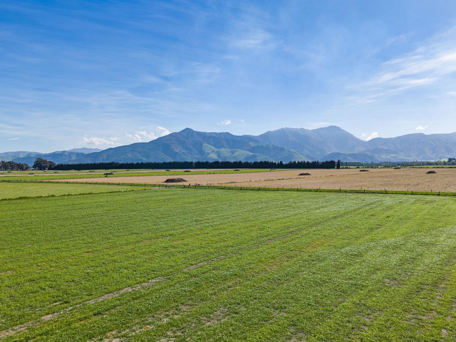 369 Ruapuna School Road, Ashburton