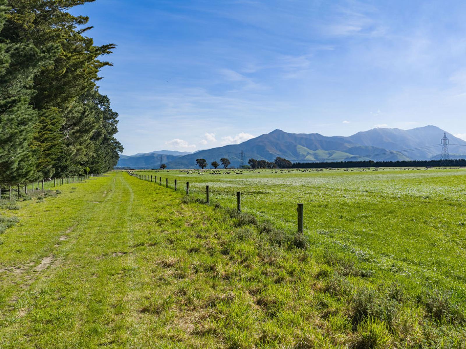 369 Ruapuna School Road, Ashburton