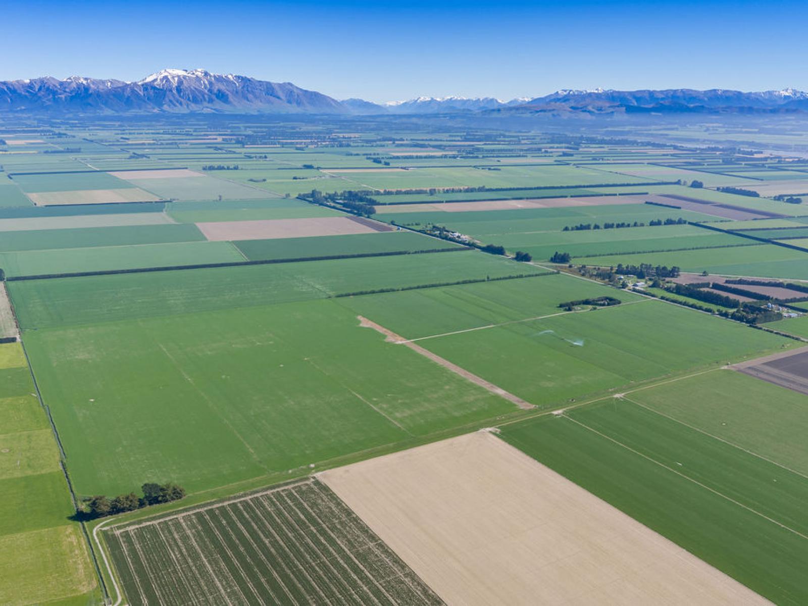 1280 Back Track, Rakaia