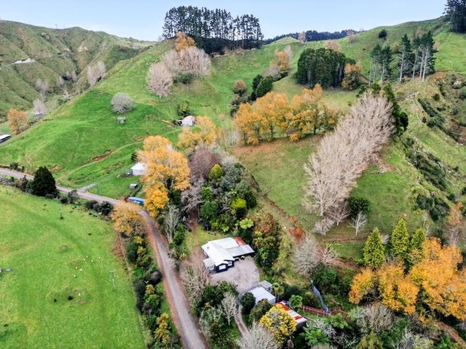 822 Motukawa Road, Inglewood