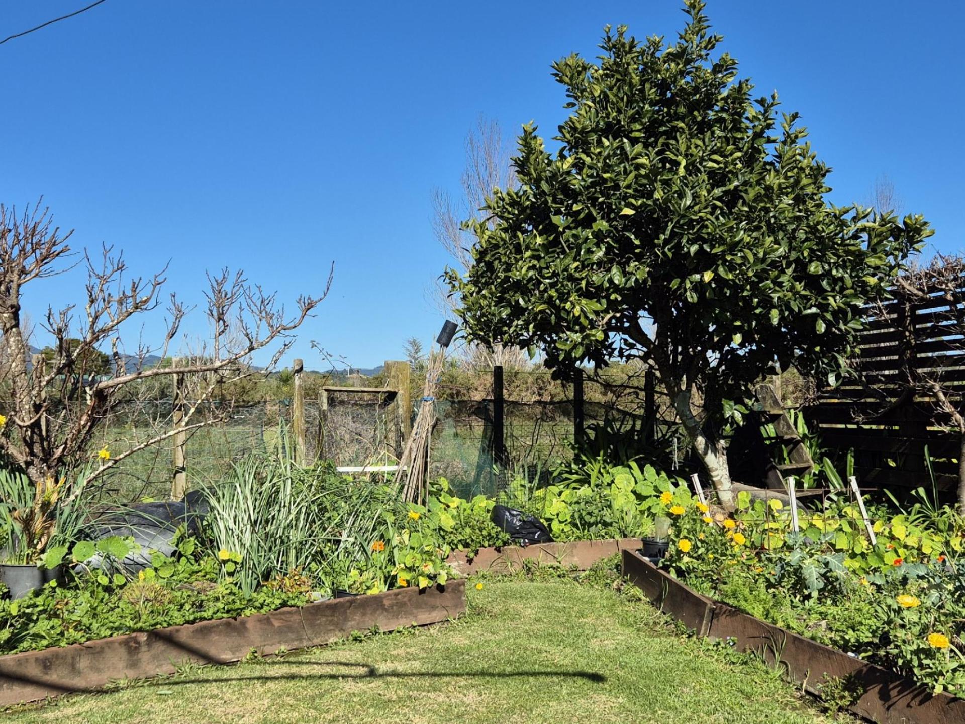 4 Courthouse Lane, Coromandel