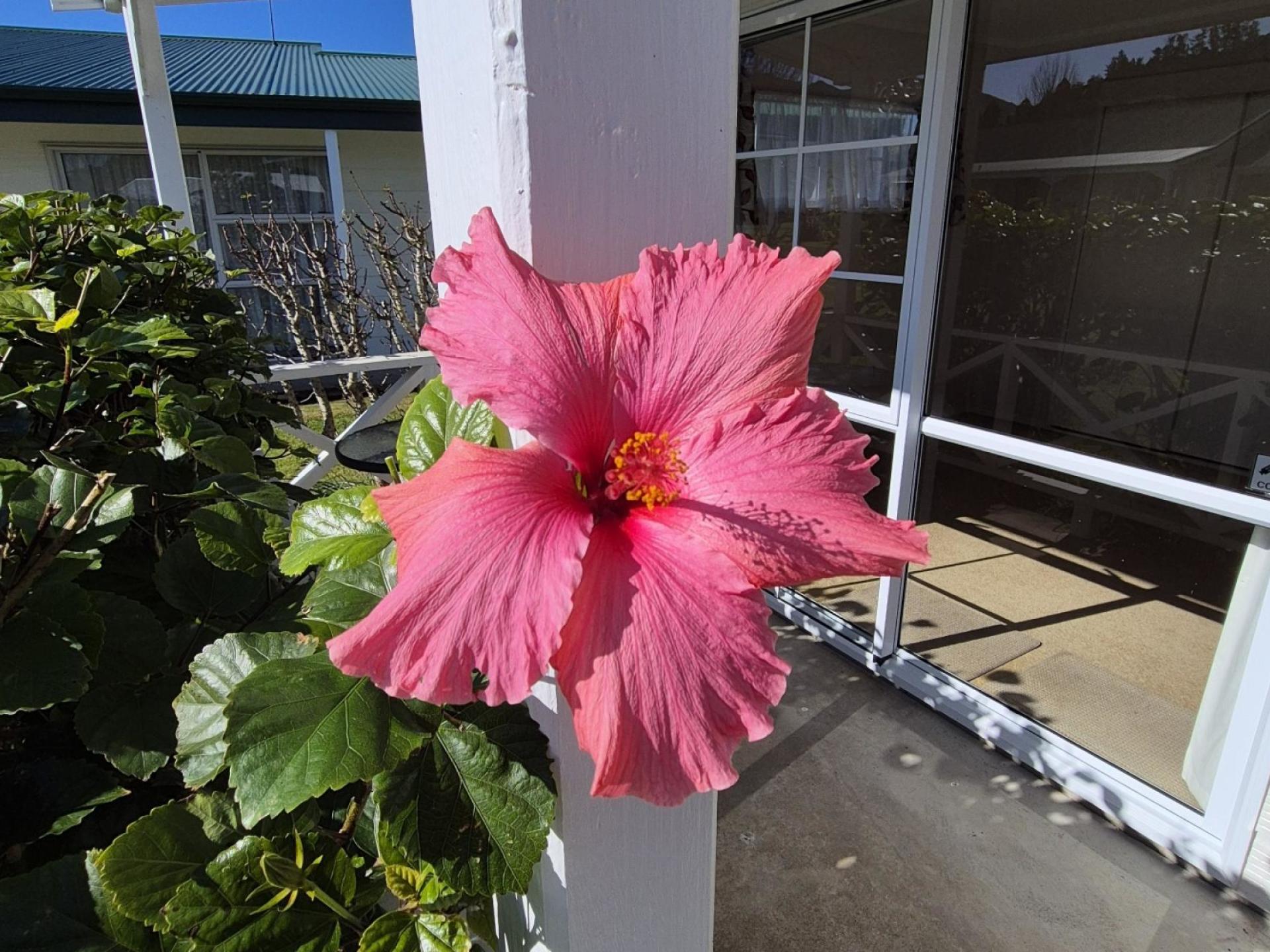 4 Courthouse Lane, Coromandel
