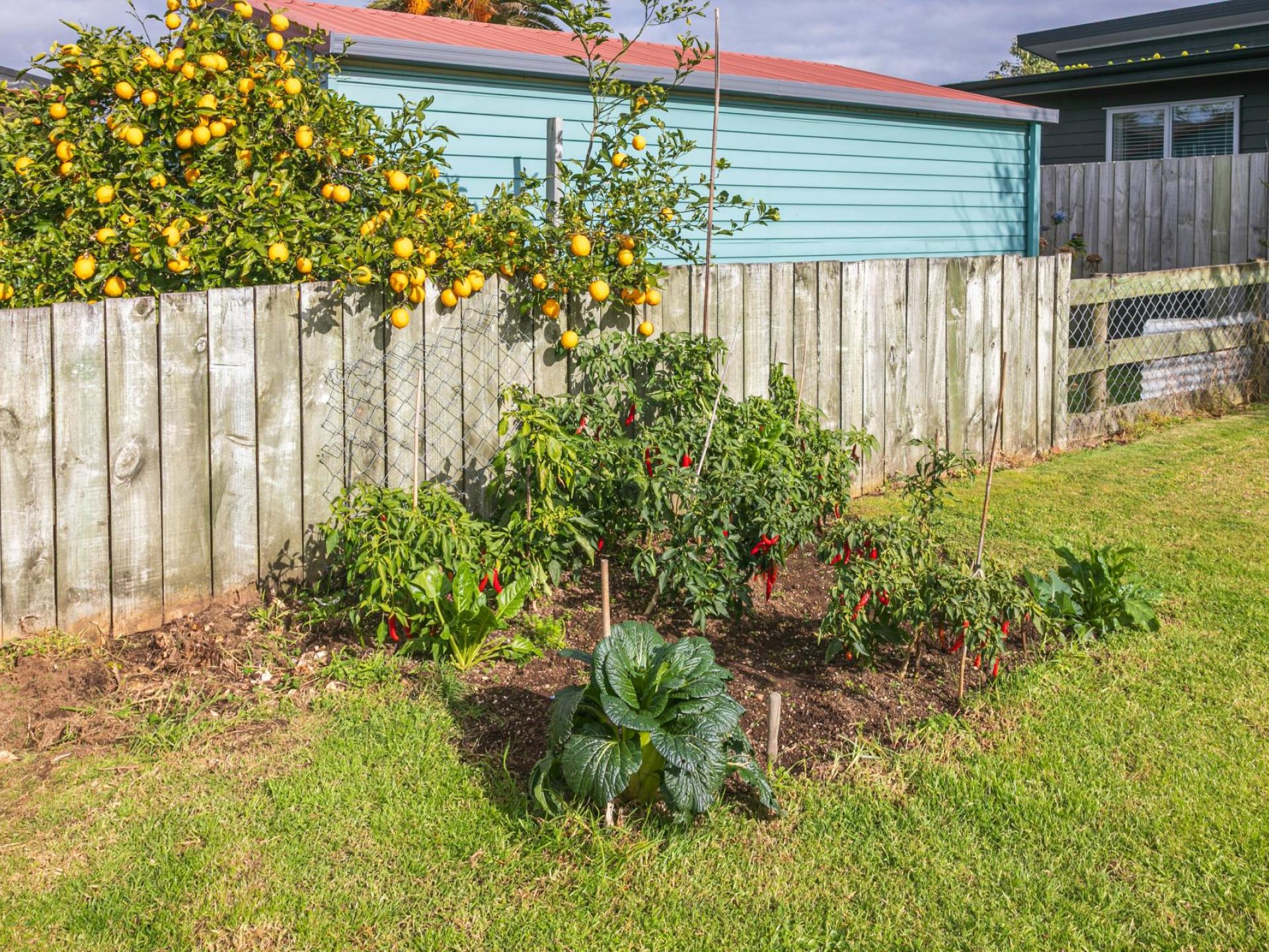 311 Main Road, Tairua