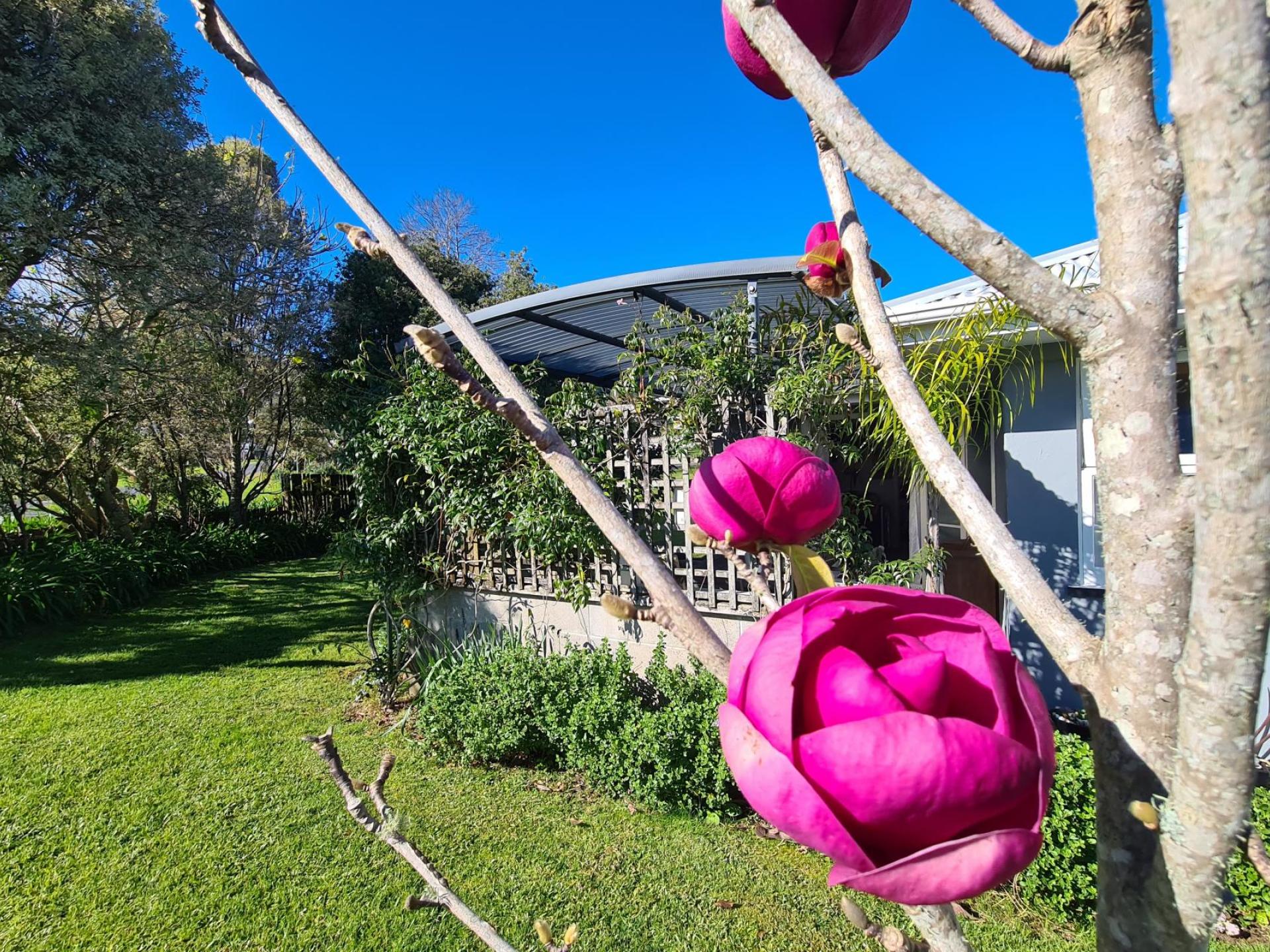 970 Rings Road, Coromandel