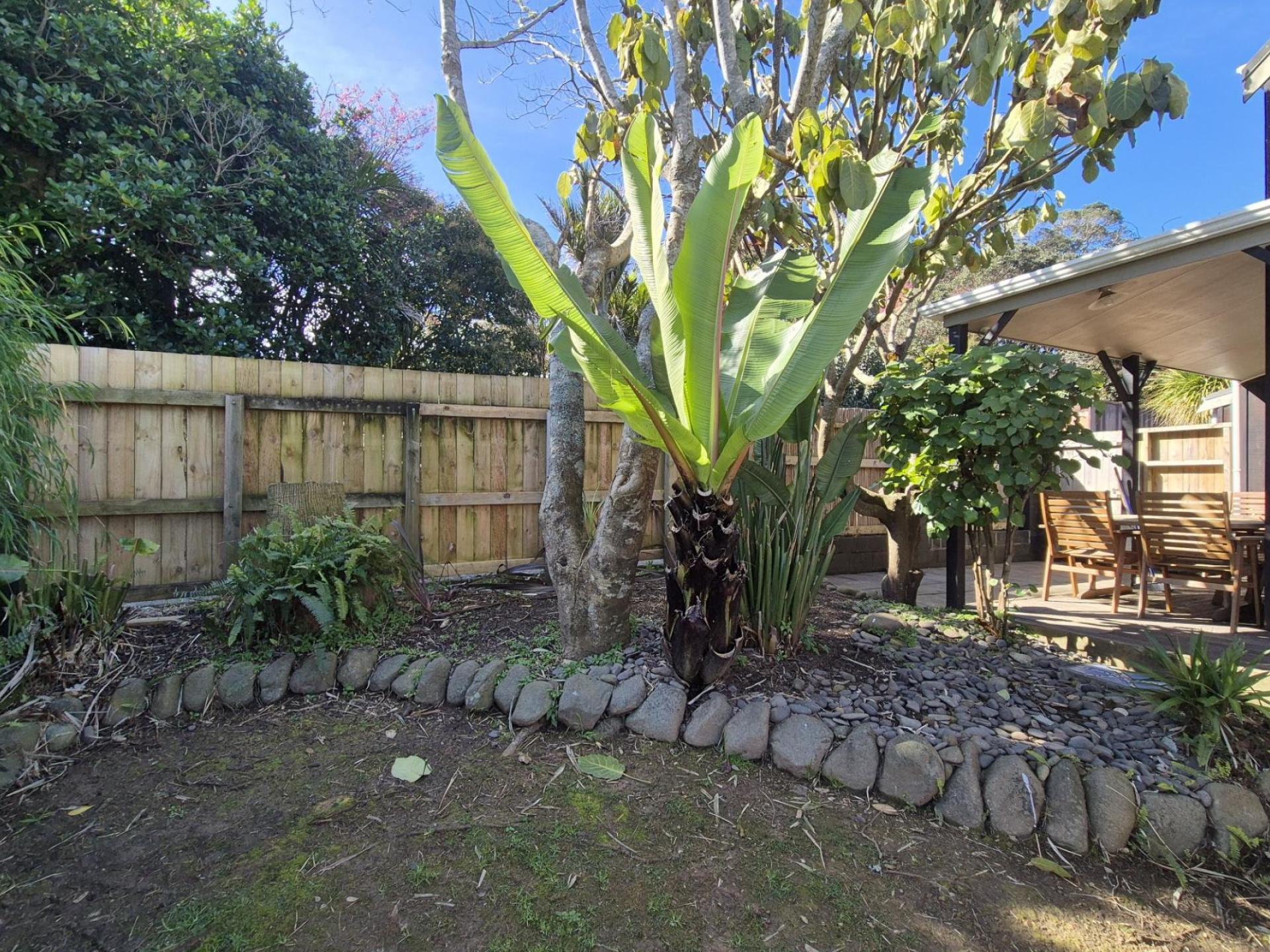 527 Kapanga, Coromandel