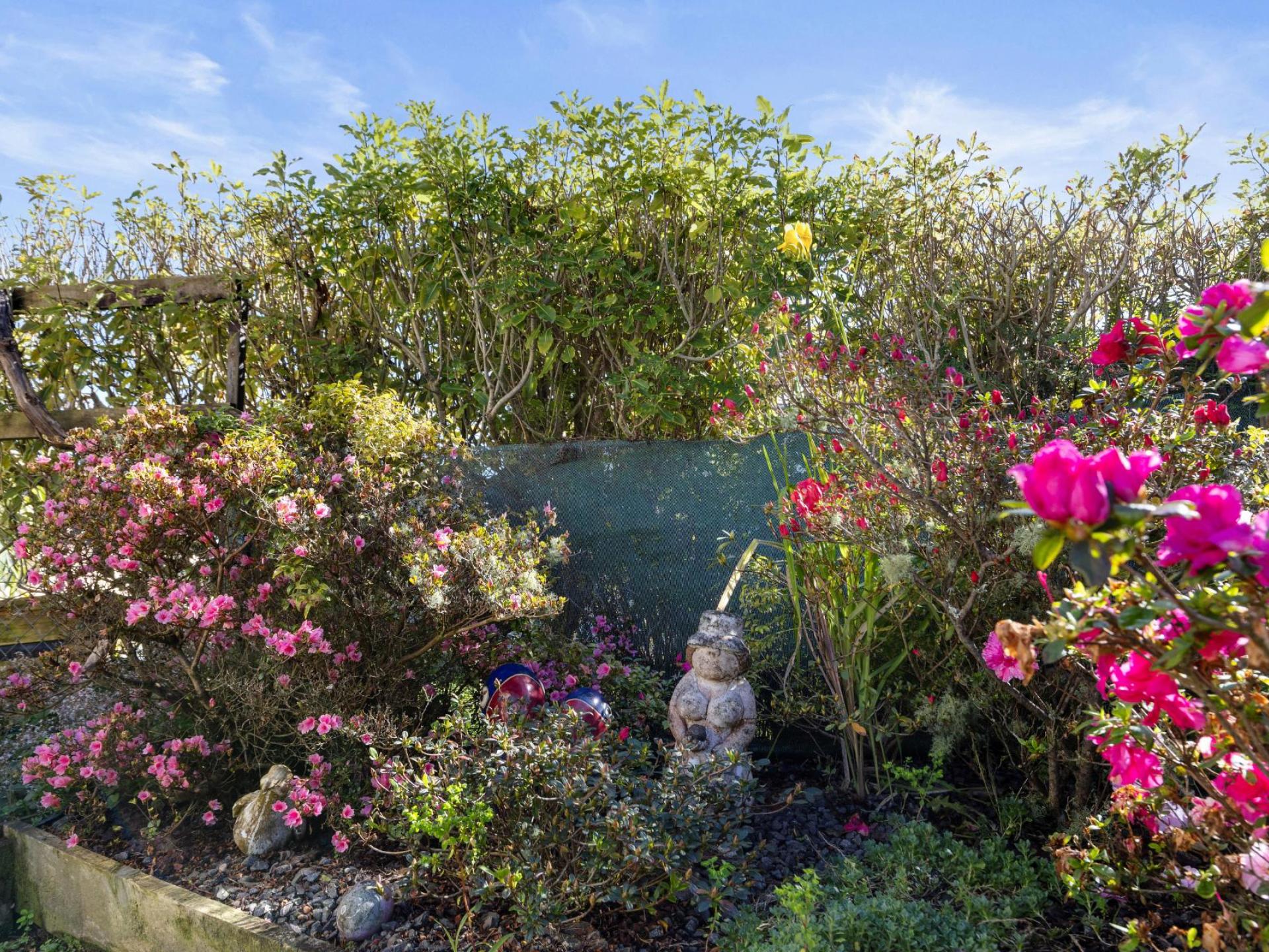7 Davies Street, Paeroa