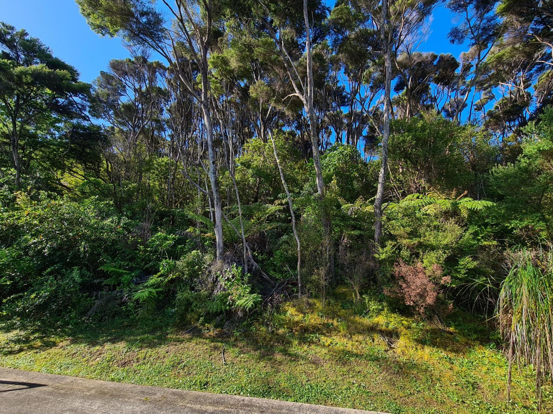 624 Wyuna Bay Road, Coromandel
