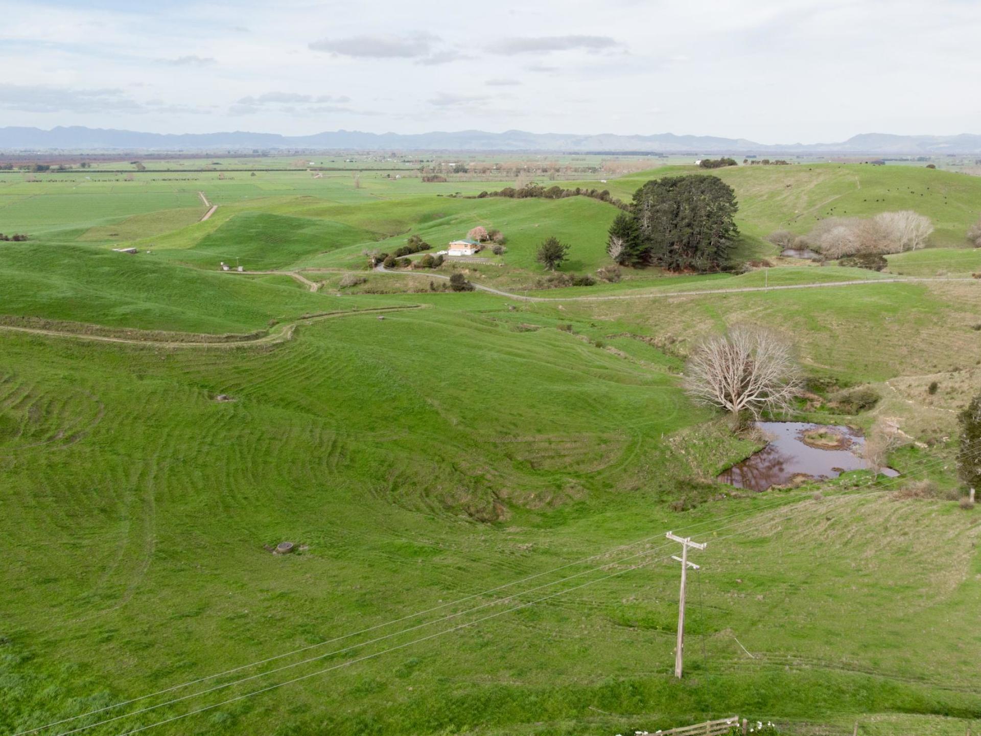 875 State Highway 27, Kaihere