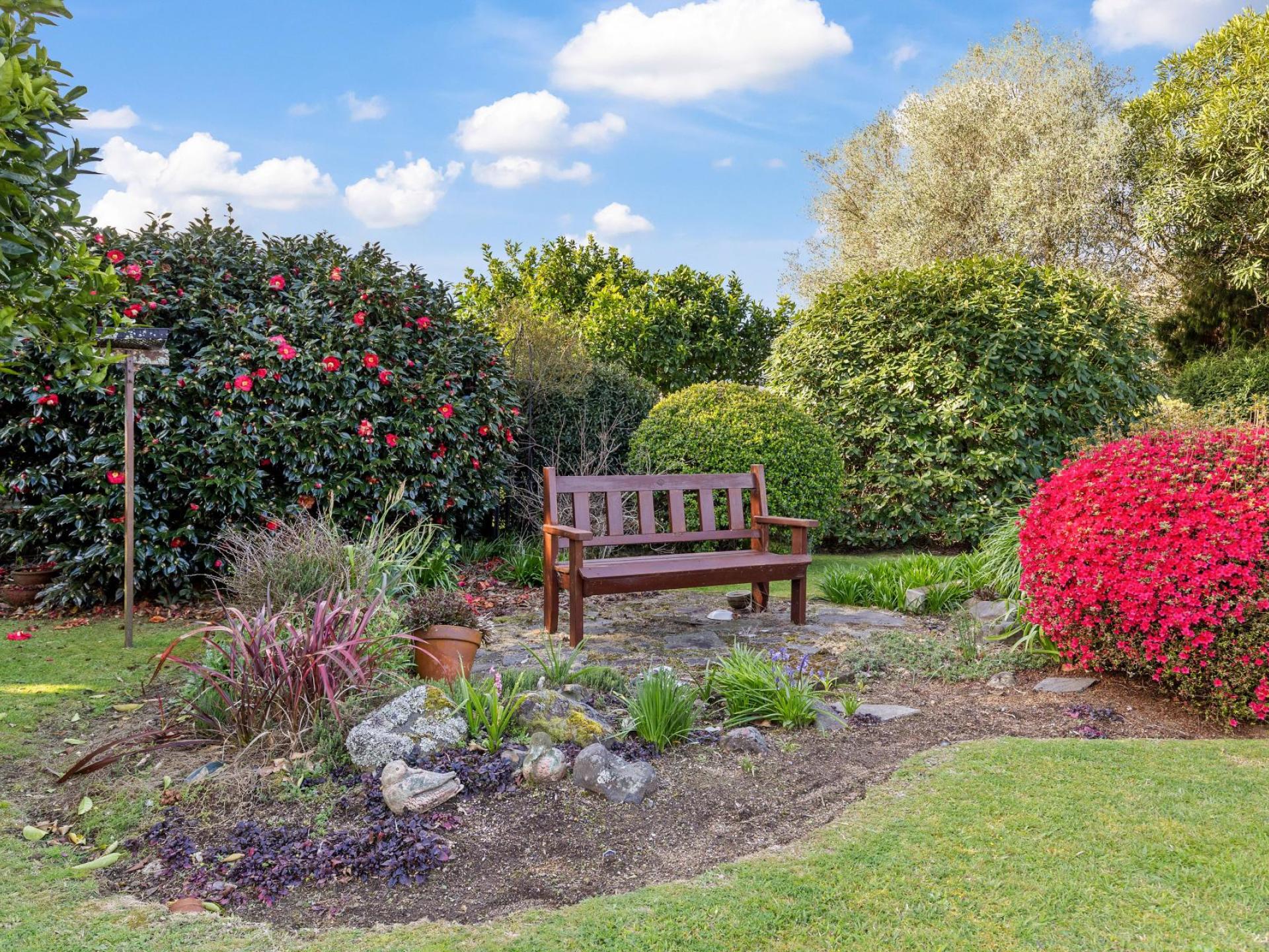 14 Shaw Ave, Paeroa