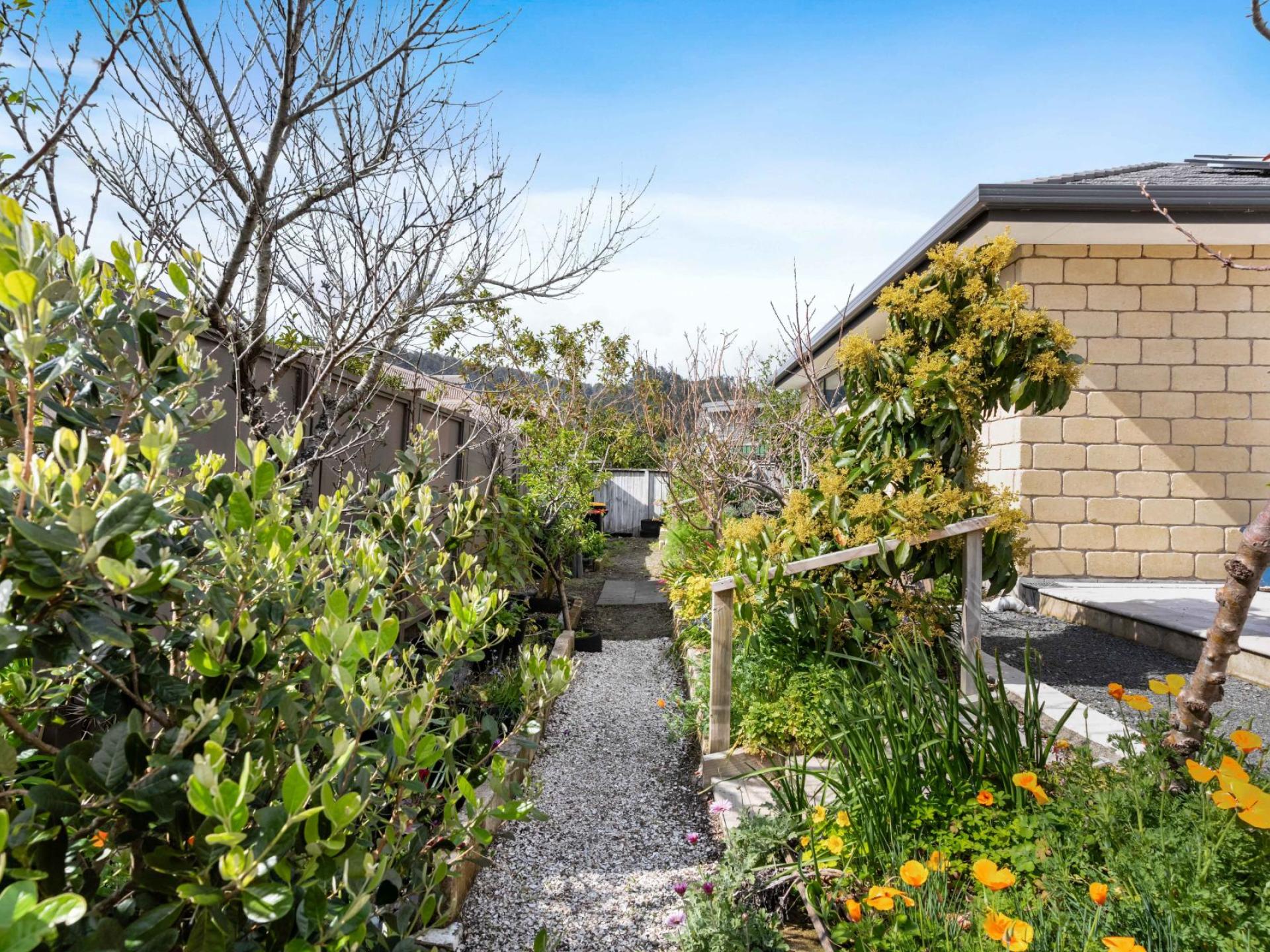 19 Ajax Head, Pauanui