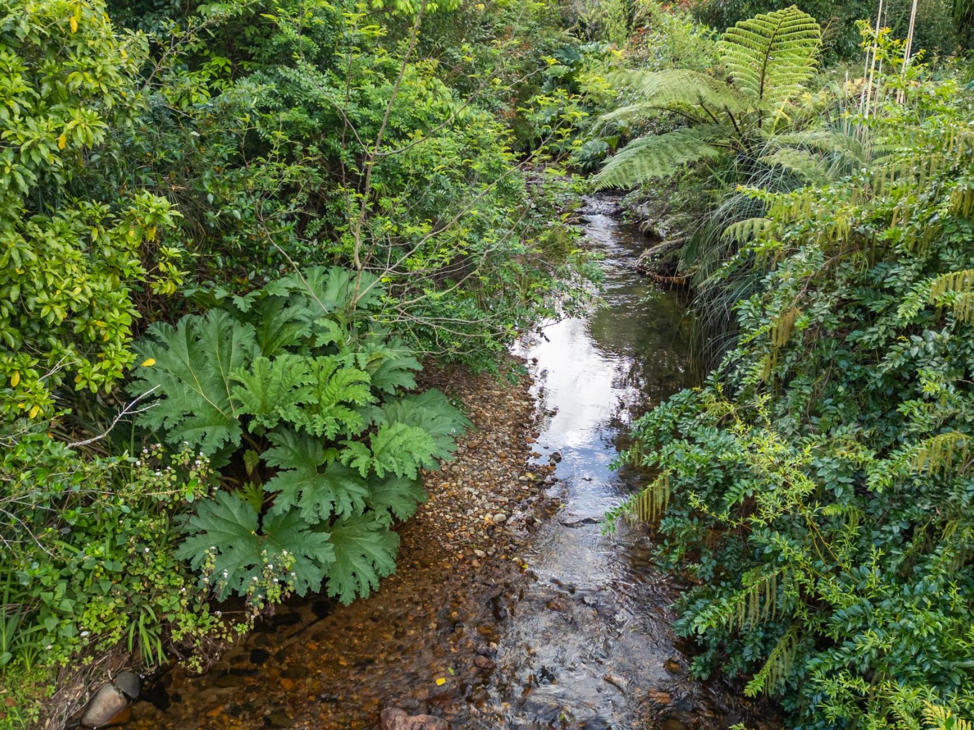 195 Driving Creek Road, Coromandel