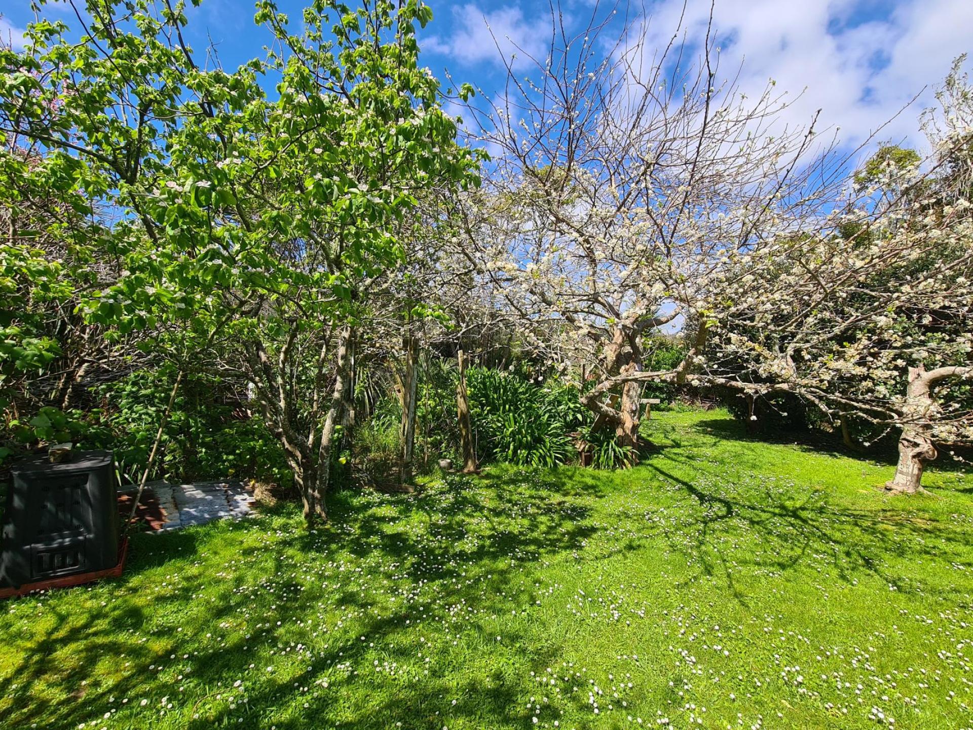 2225 Tiki Road, Coromandel