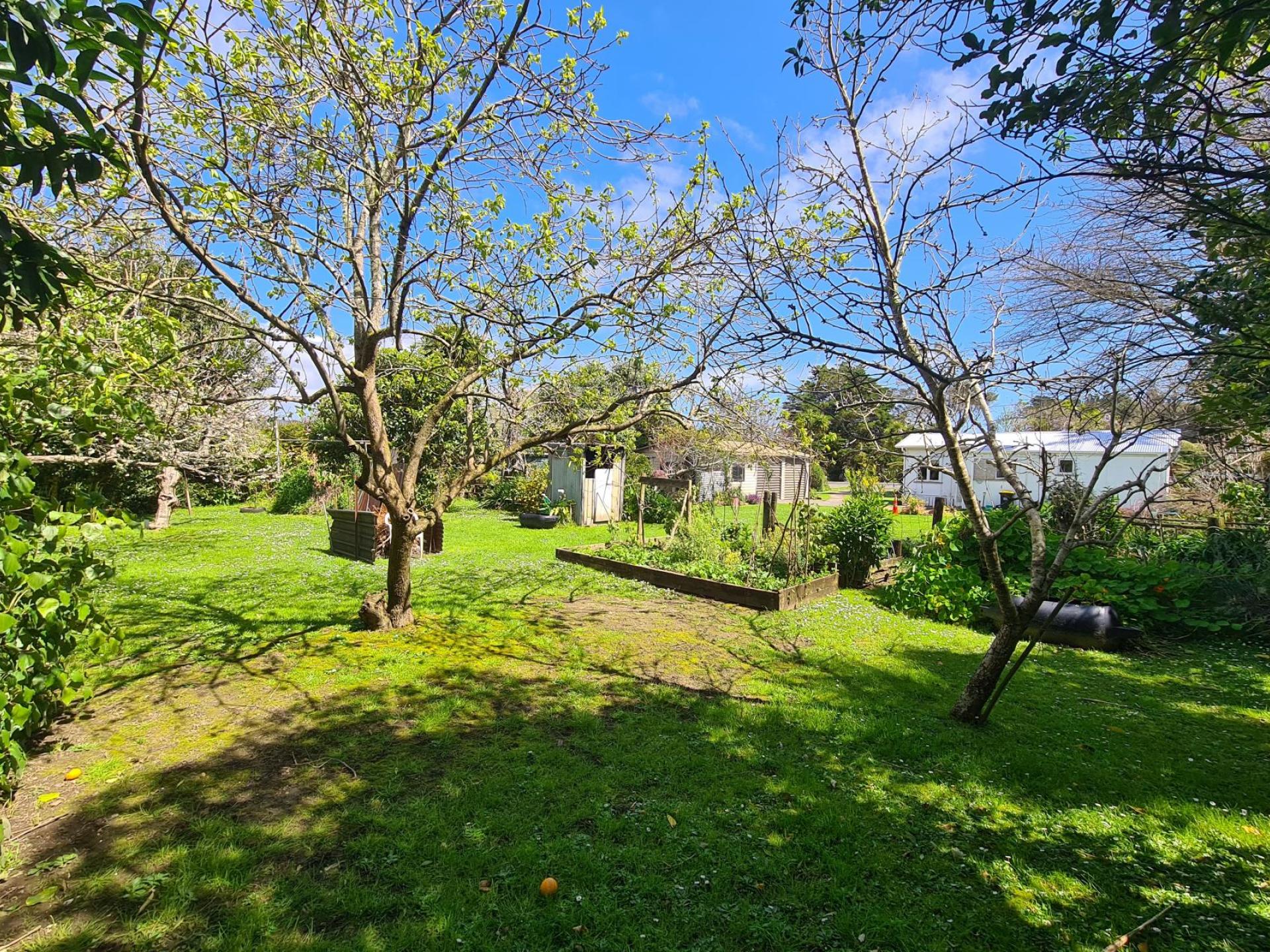 2225 Tiki Road, Coromandel