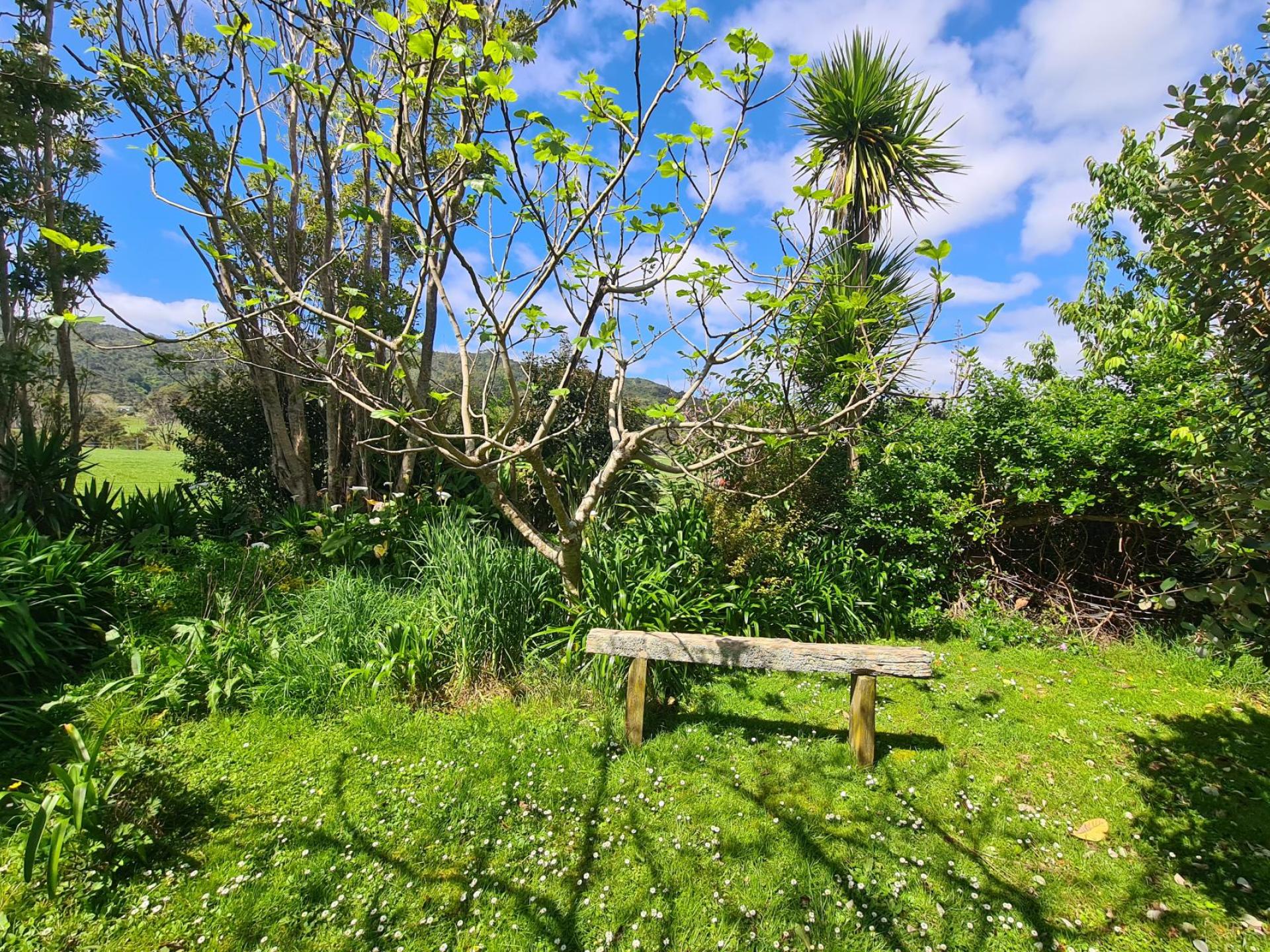 2225 Tiki Road, Coromandel
