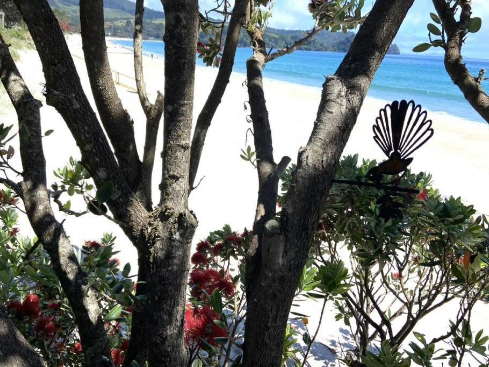 224B Tangiora Avenue, Whangapoua