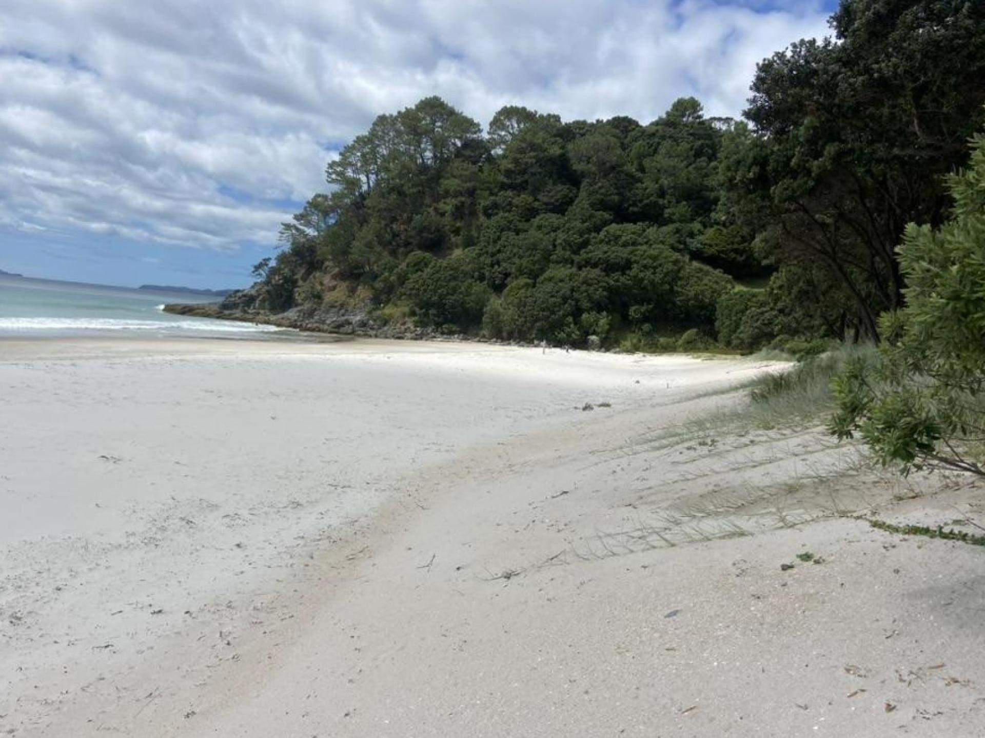 224B Tangiora Avenue, Whangapoua