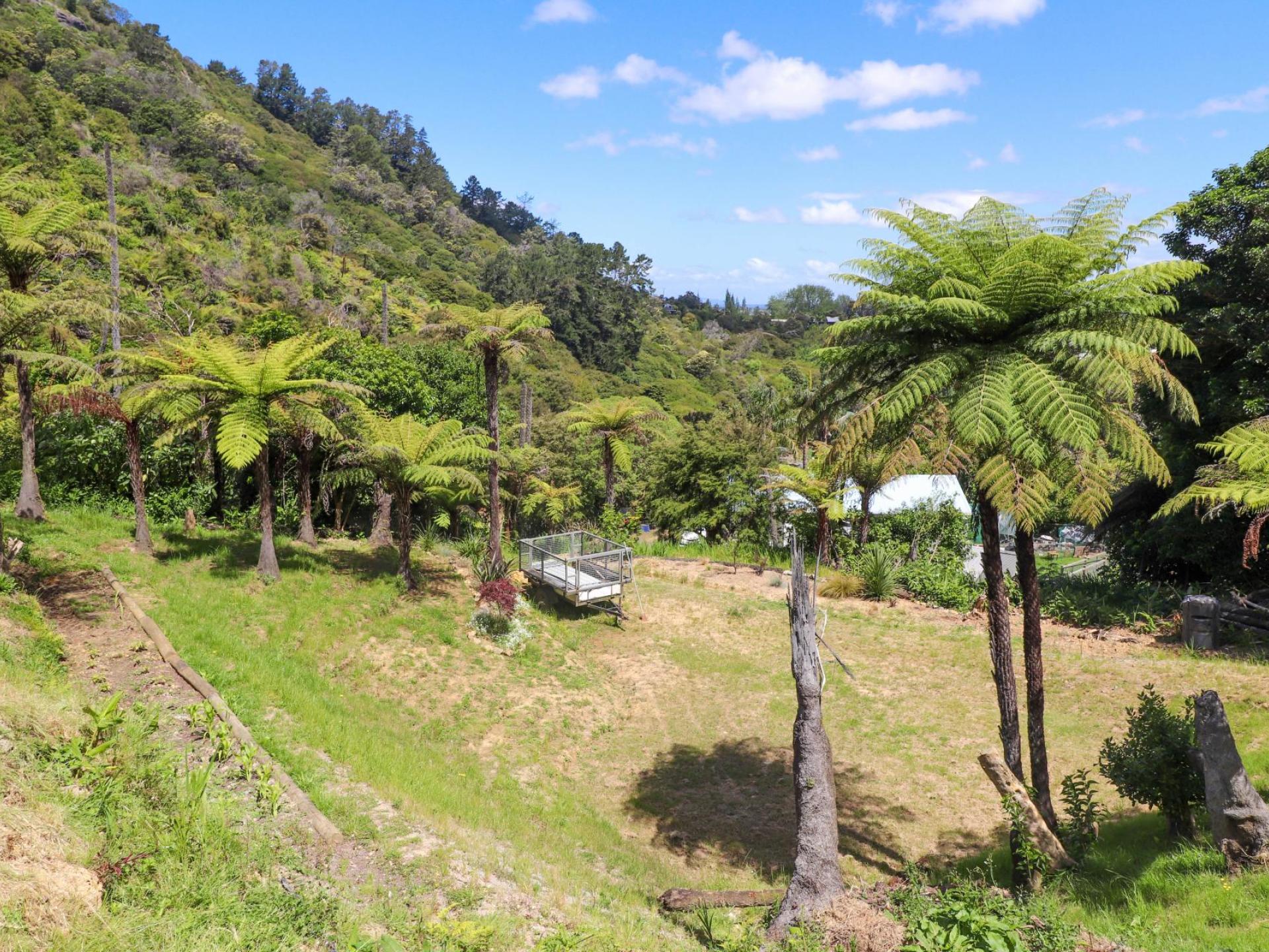 113 Collarbone Road, Thames