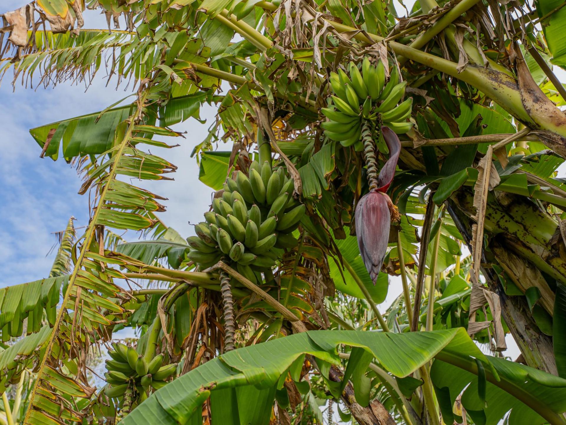 116 Sh25 Kuaotunu Wharekaho Road, Kuaotunu