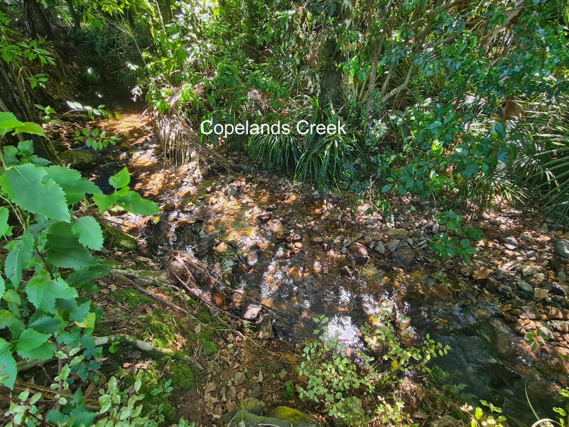 30 Driving Creek Road, Coromandel