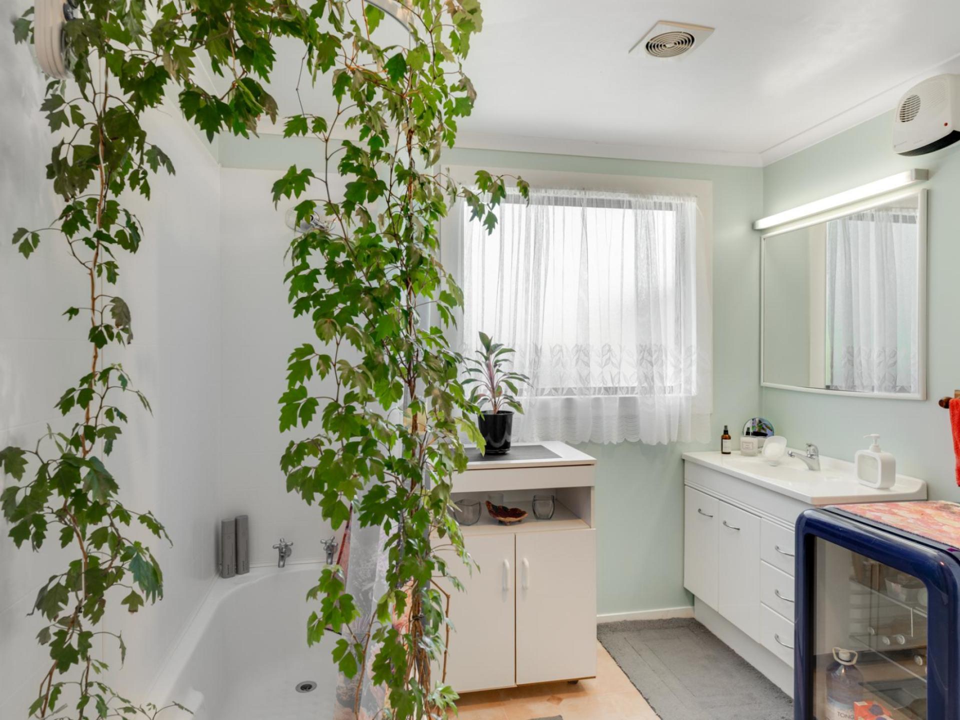 338B Main Road, Tairua