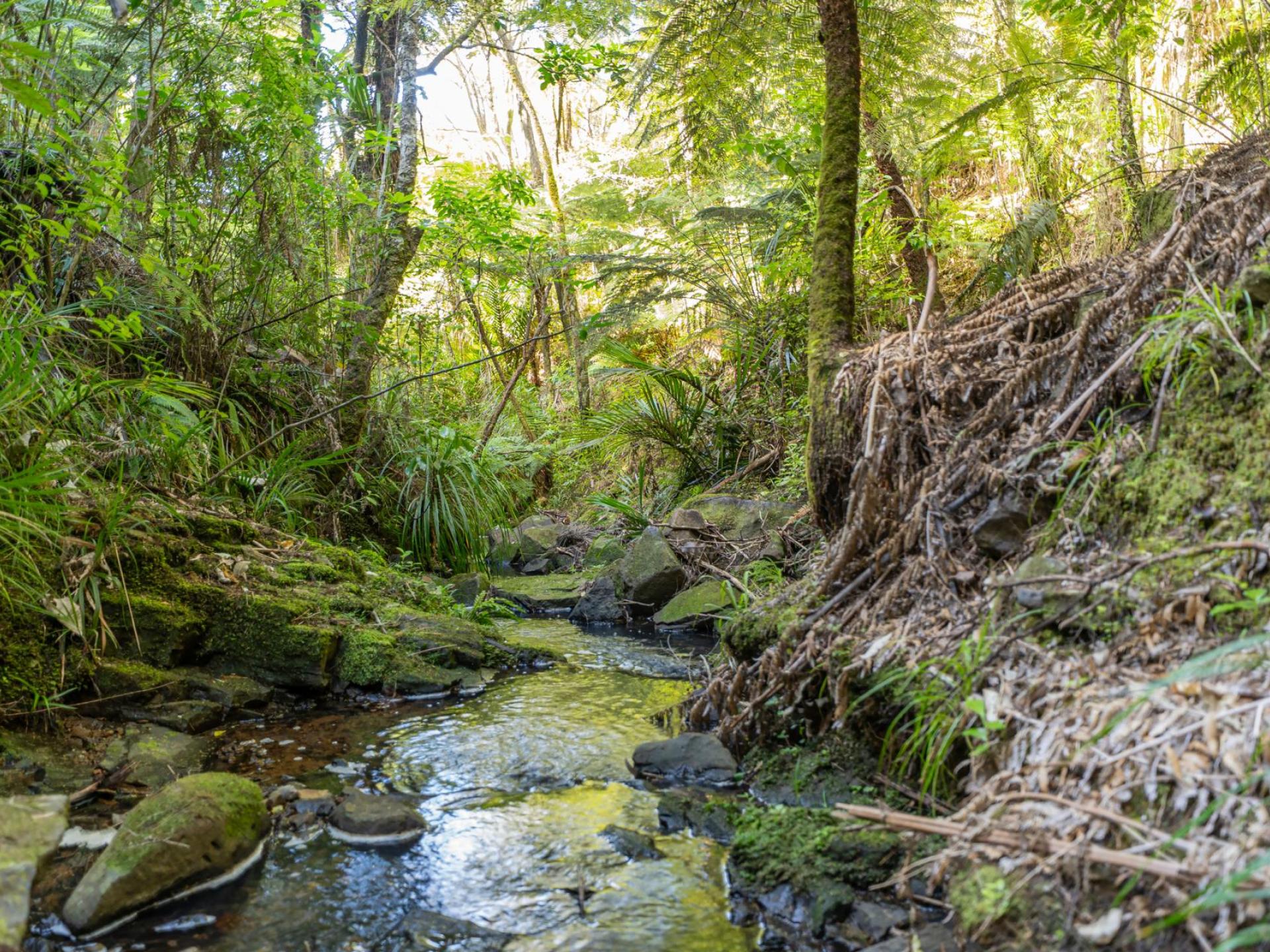 1220F Te Rerenga Kuaotunu Road, Kuaotunu