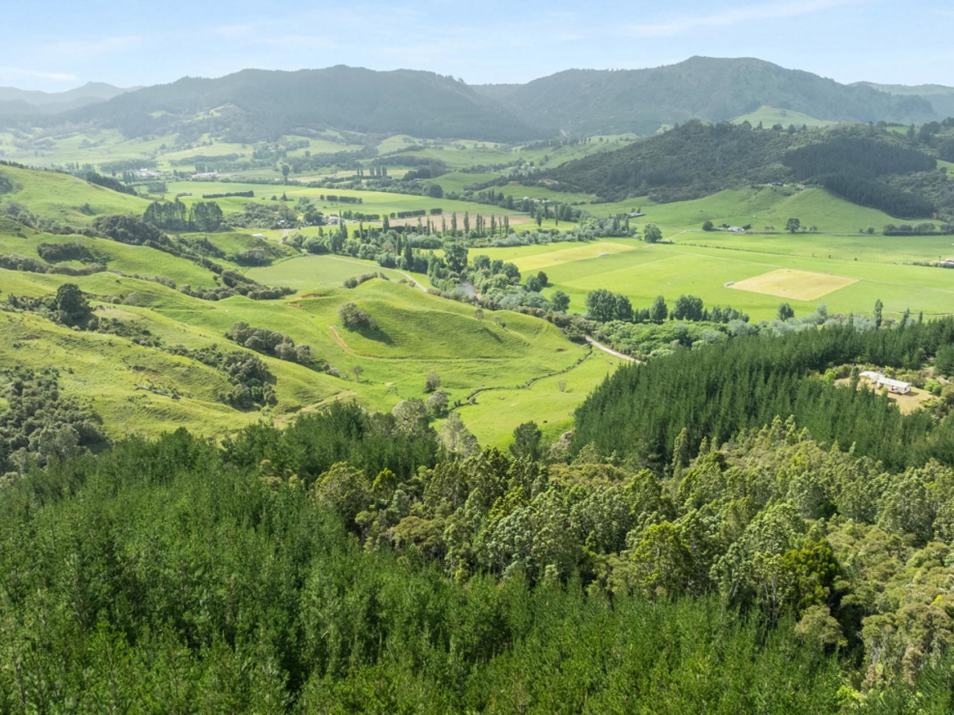 112 Hikuai School Road, Hikuai, Tairua