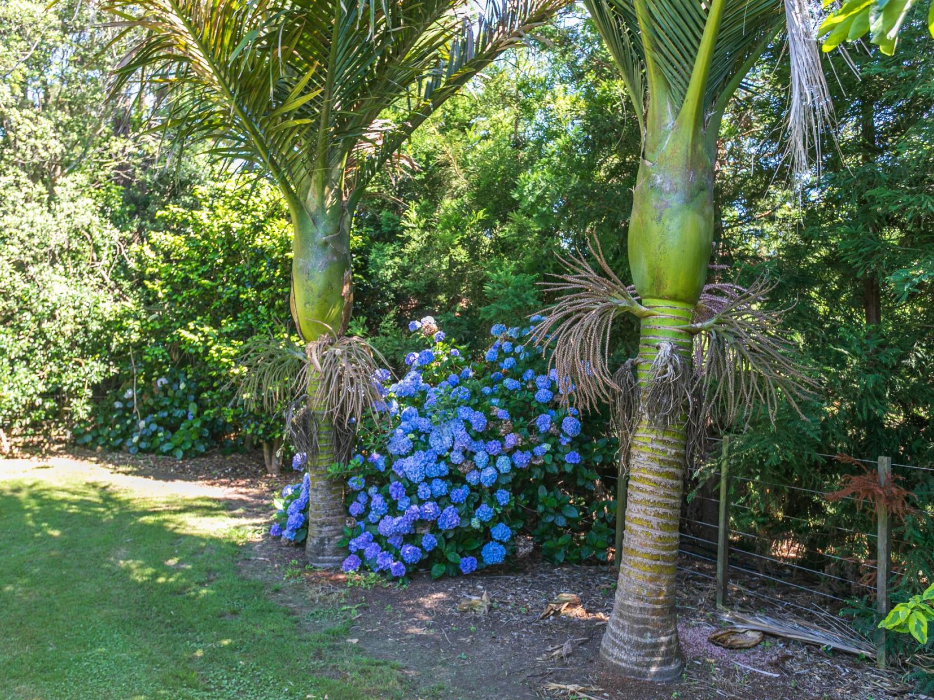 33 Orua Lane, Hot Water Beach