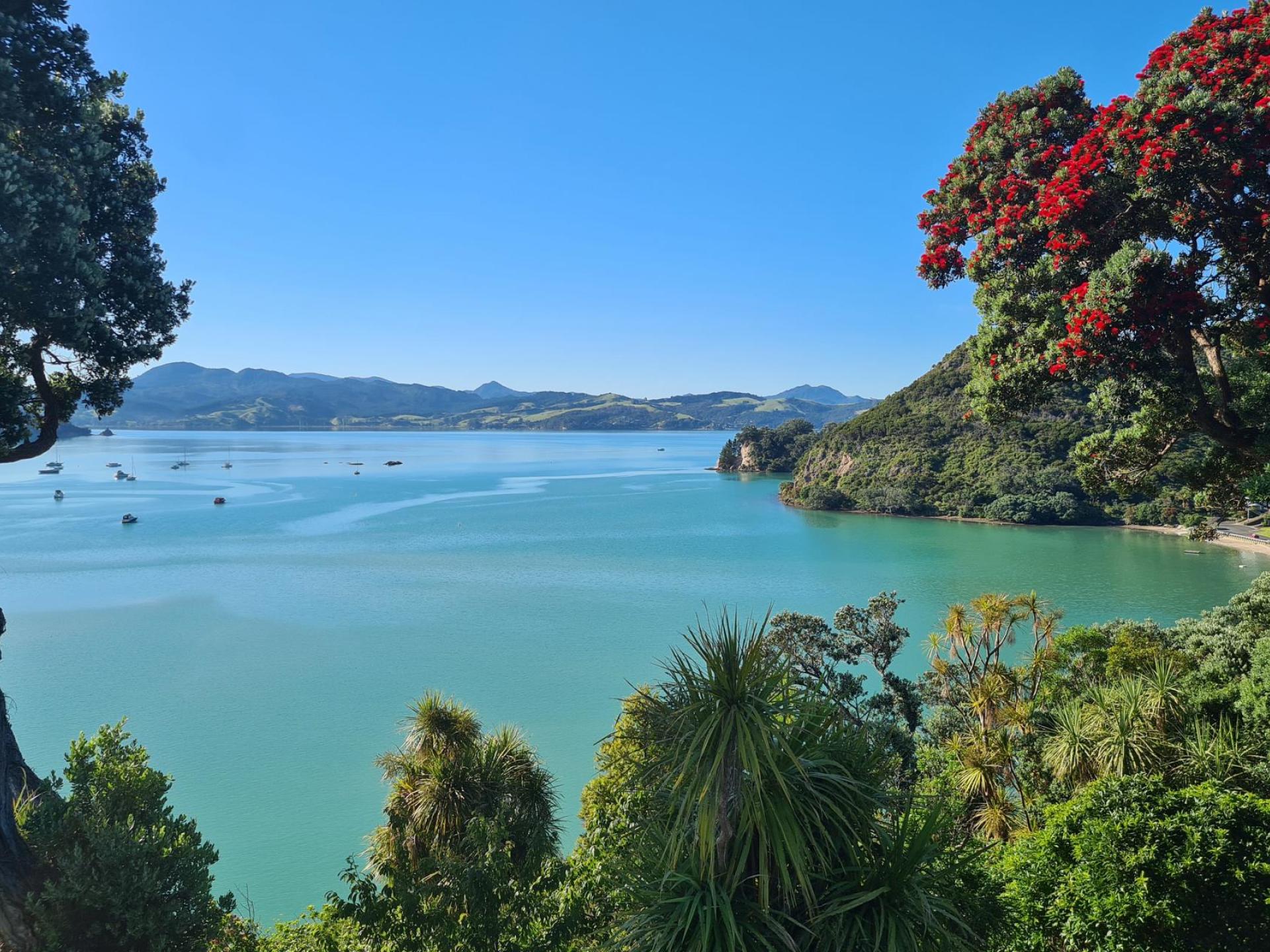 1999 Wyuna Bay Road, Coromandel