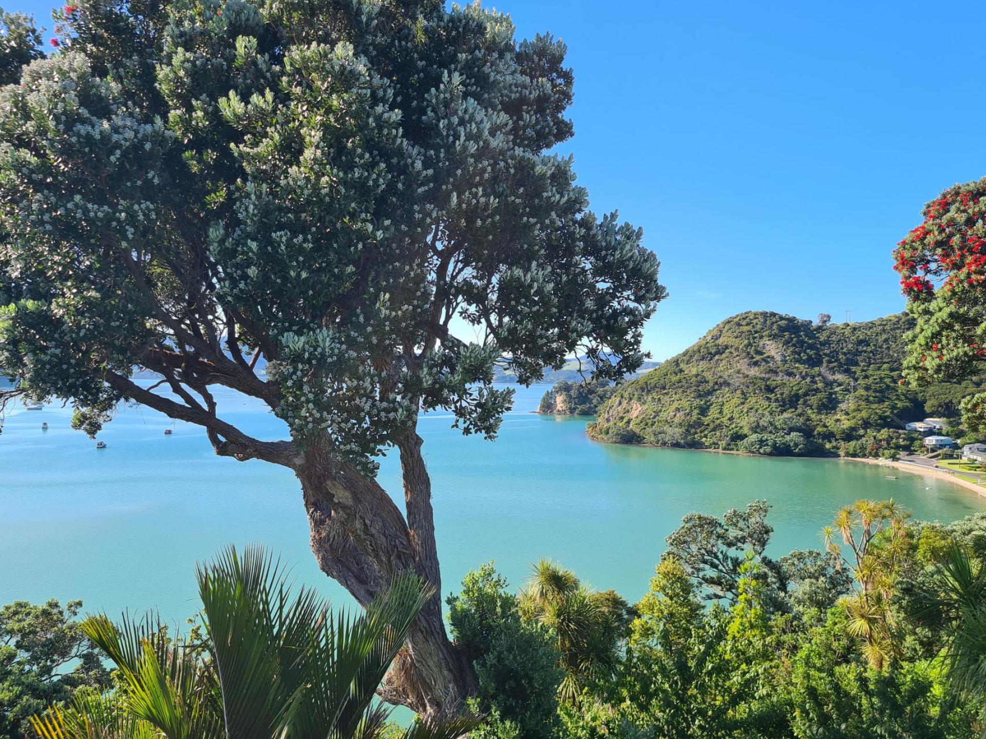 1999 Wyuna Bay Road, Coromandel