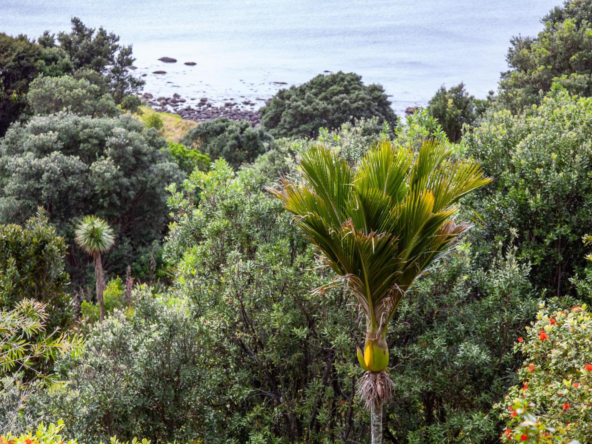 402 Tuateawa Road, Coromandel