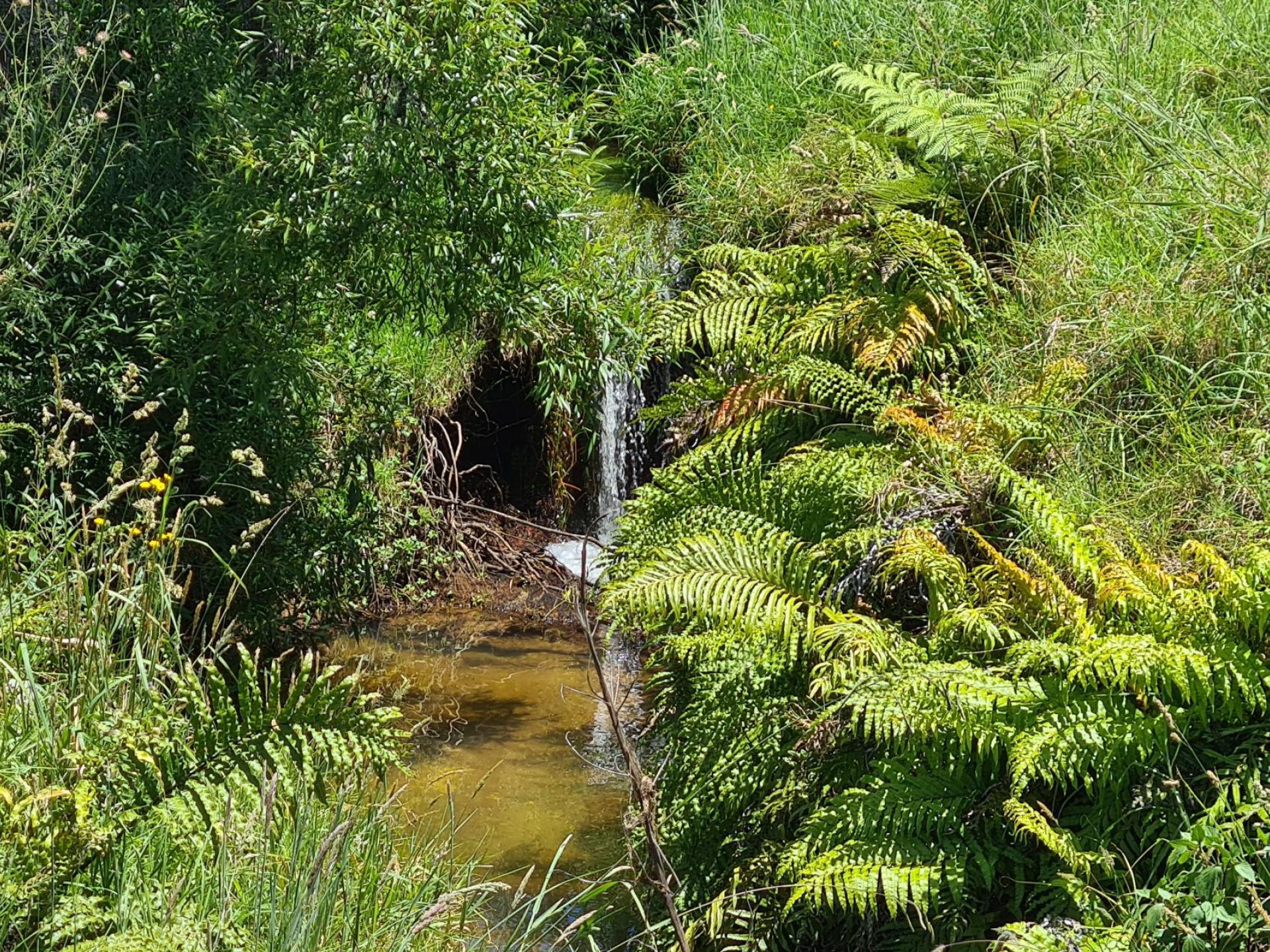 208 McQuoid Road, Coromandel