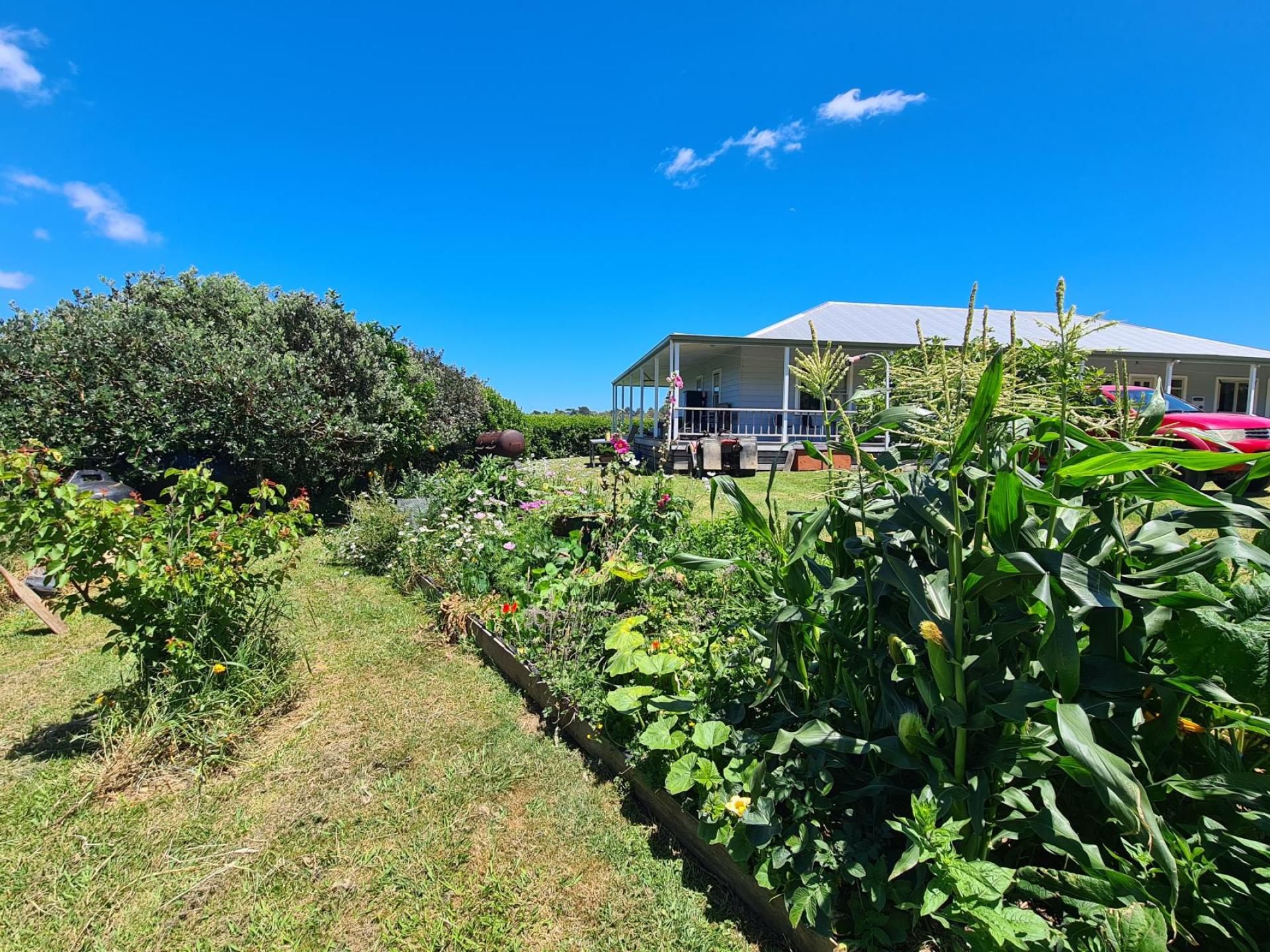 208 McQuoid Road, Coromandel