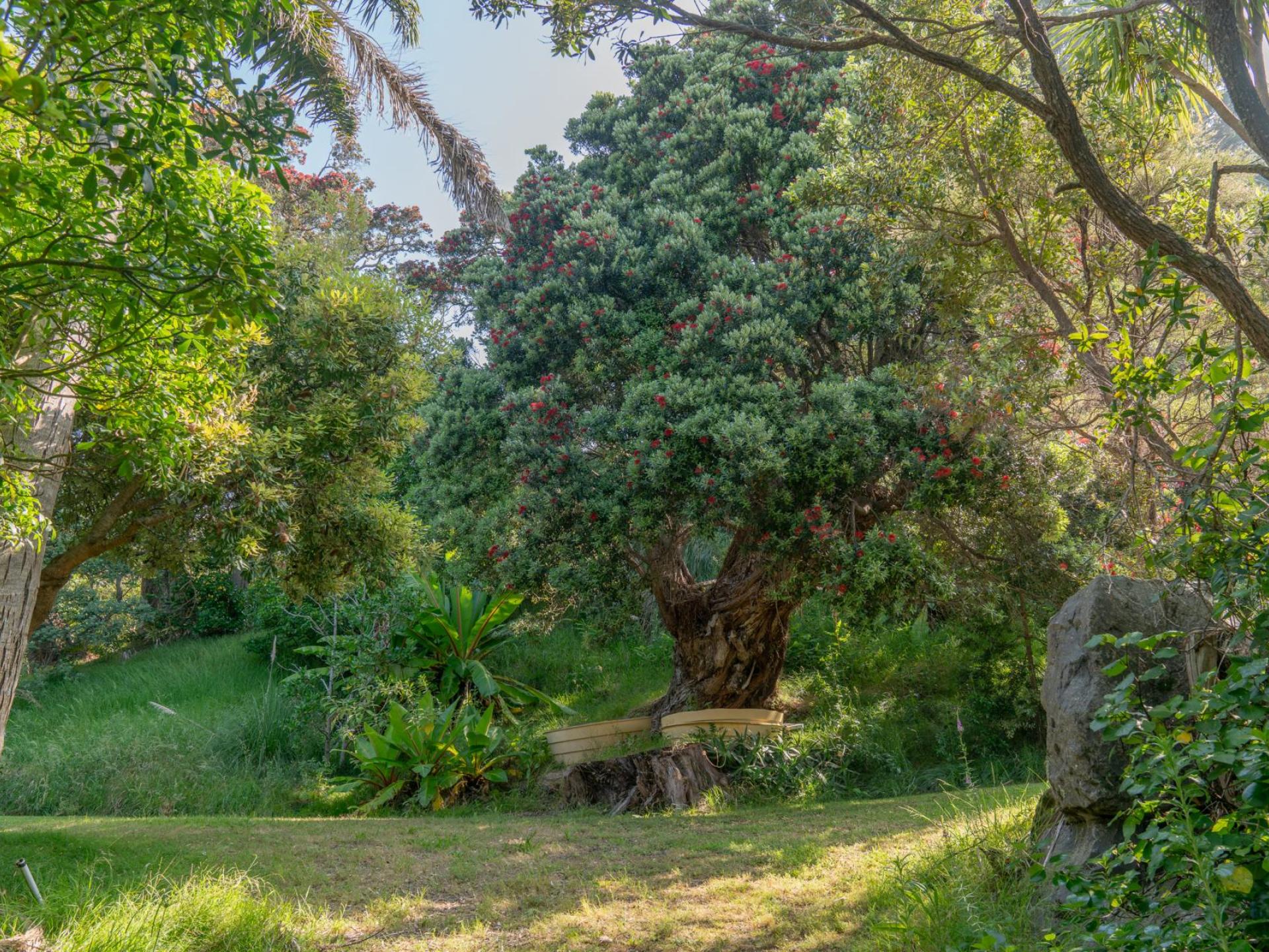 16 Kawhero Drive, Kuaotunu 16 Kawhero Drive, Kuaotunu