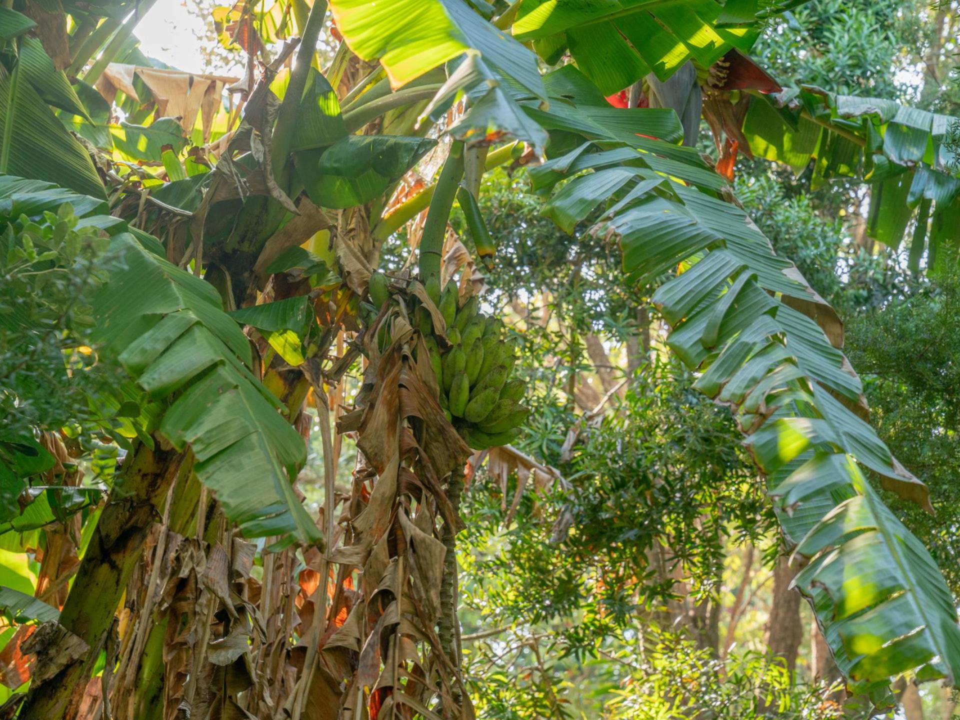 16 Kawhero Drive, Kuaotunu 16 Kawhero Drive, Kuaotunu