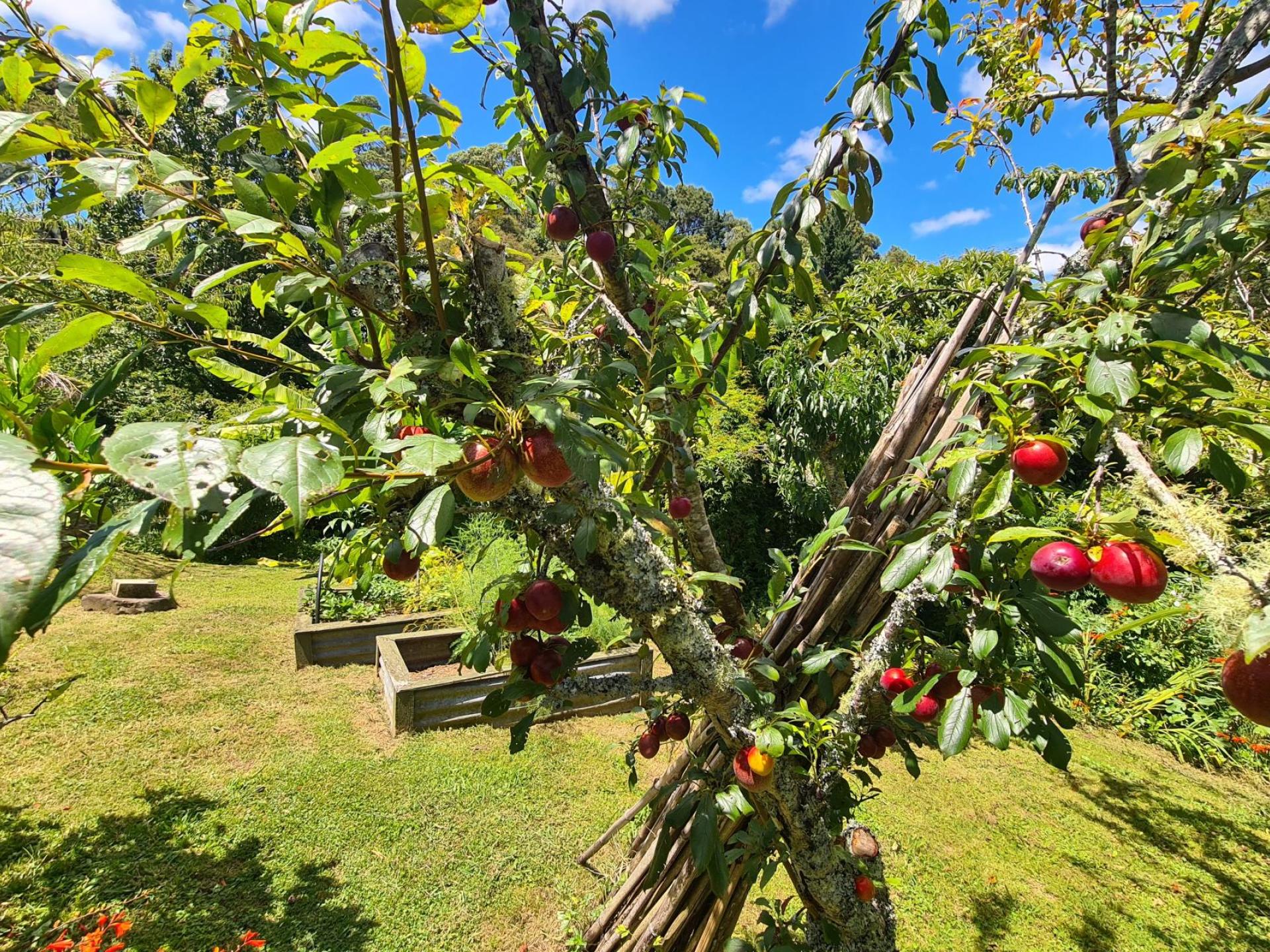 Site 3, 180 Driving Creek Road, Coromandel