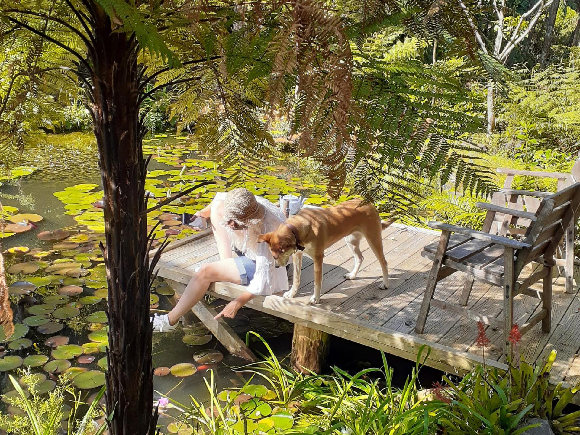 871B Tiki Quarry Road, Coromandel