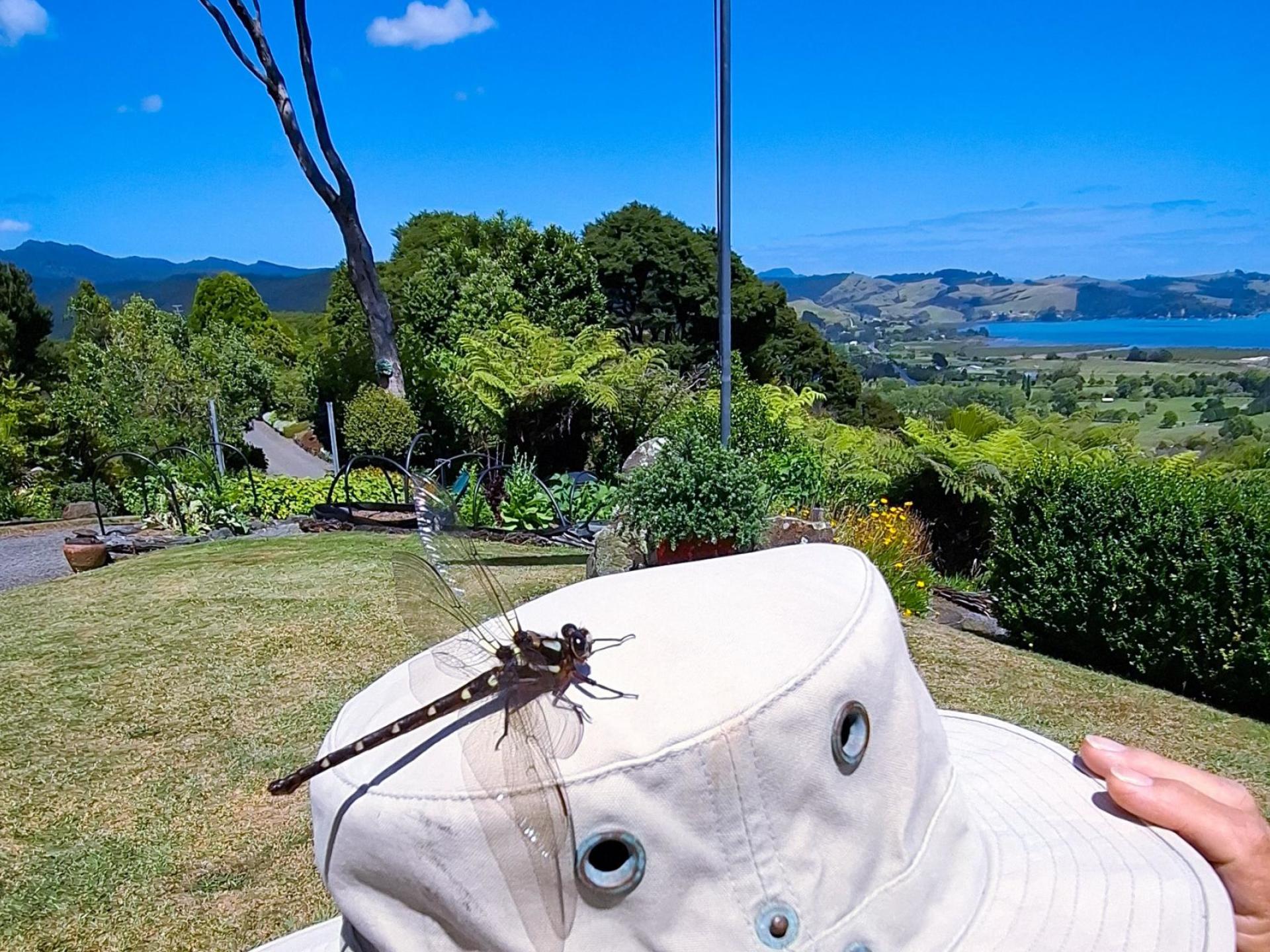 871B Tiki Quarry Road, Coromandel