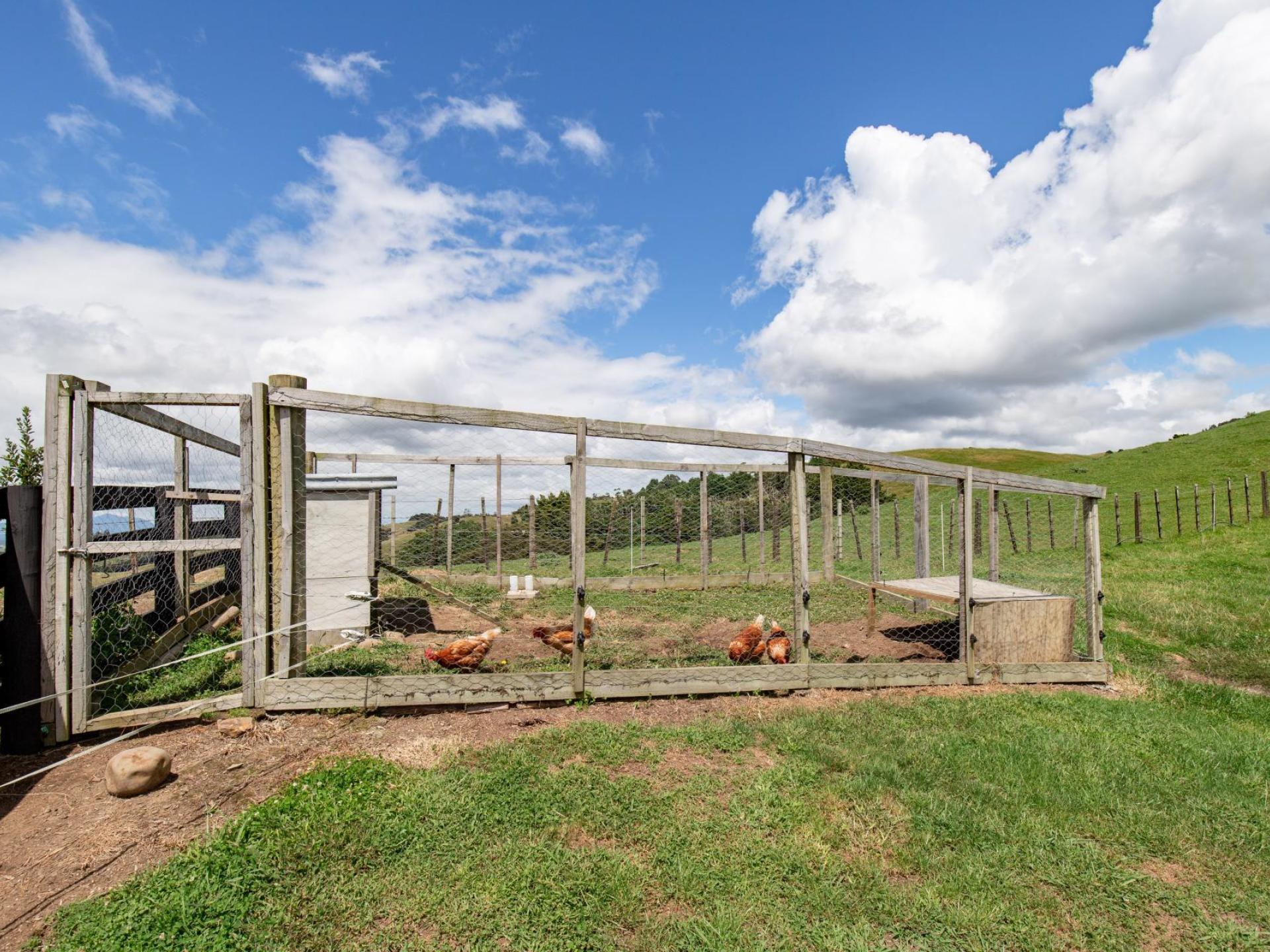 169 Torehape Road West, Kaihere 169 Torehape Road West, Kaihere