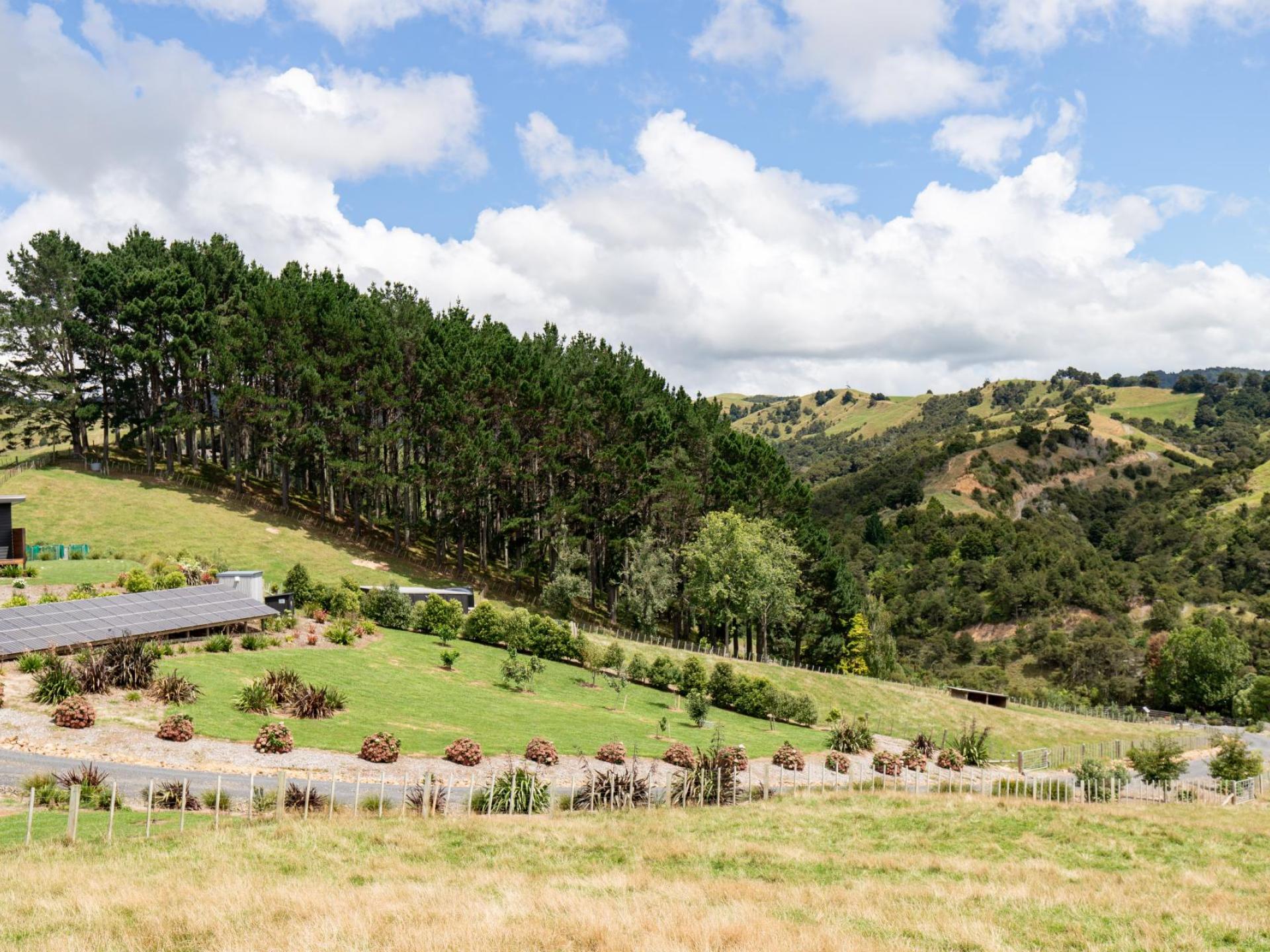 169 Torehape Road West, Kaihere